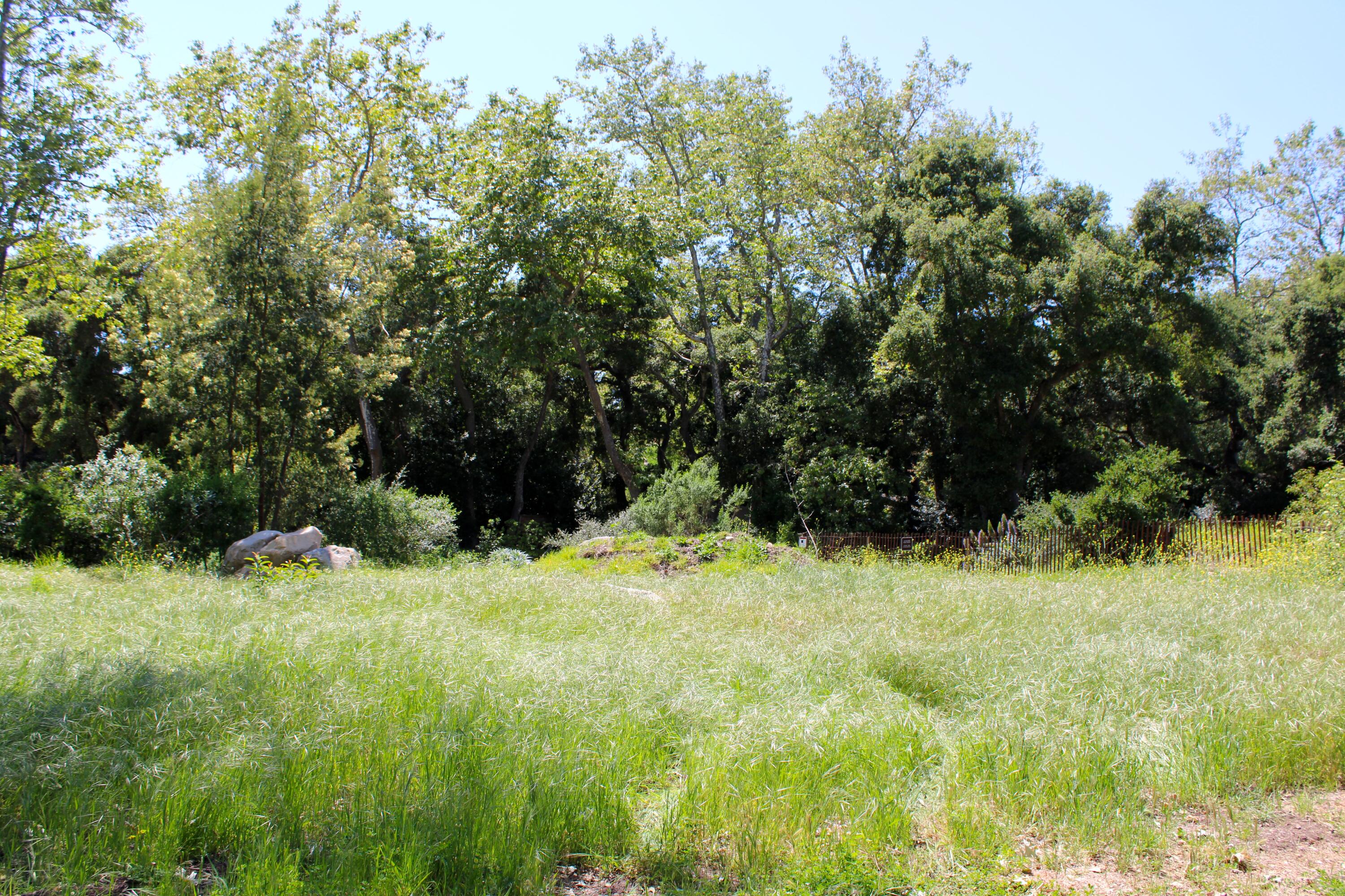 Montecito, California 93108, United States, ,Land,Active,106208