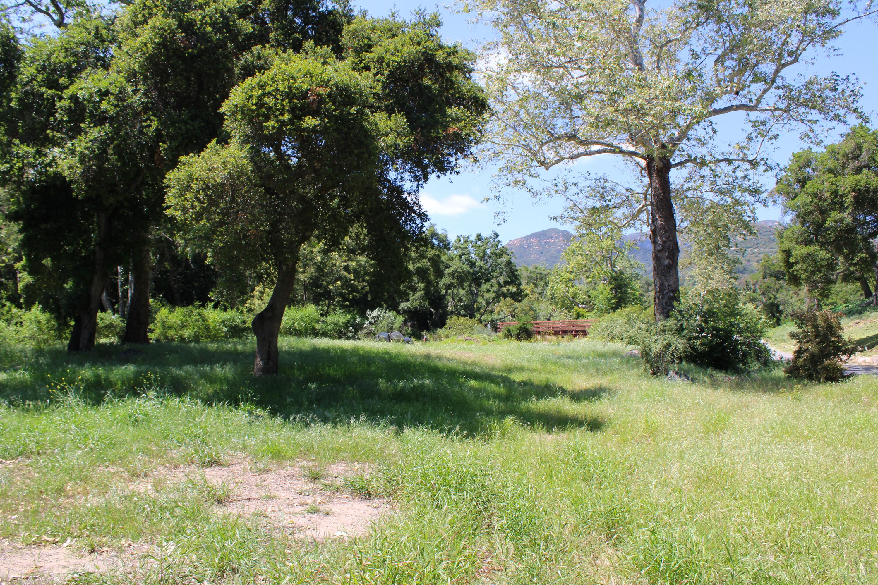 Montecito, California 93108, United States, ,Land,Active,106208