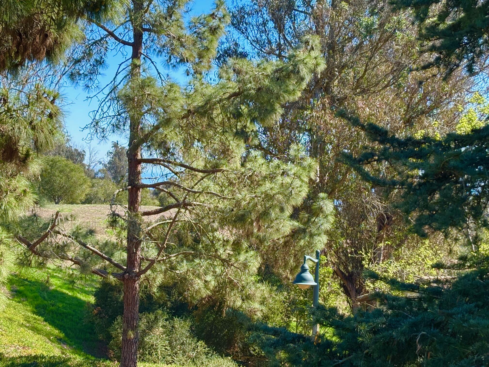 Santa Barbara, California 93109, United States, 2 Bedrooms Bedrooms, ,2 BathroomsBathrooms,Residential,Active,98777