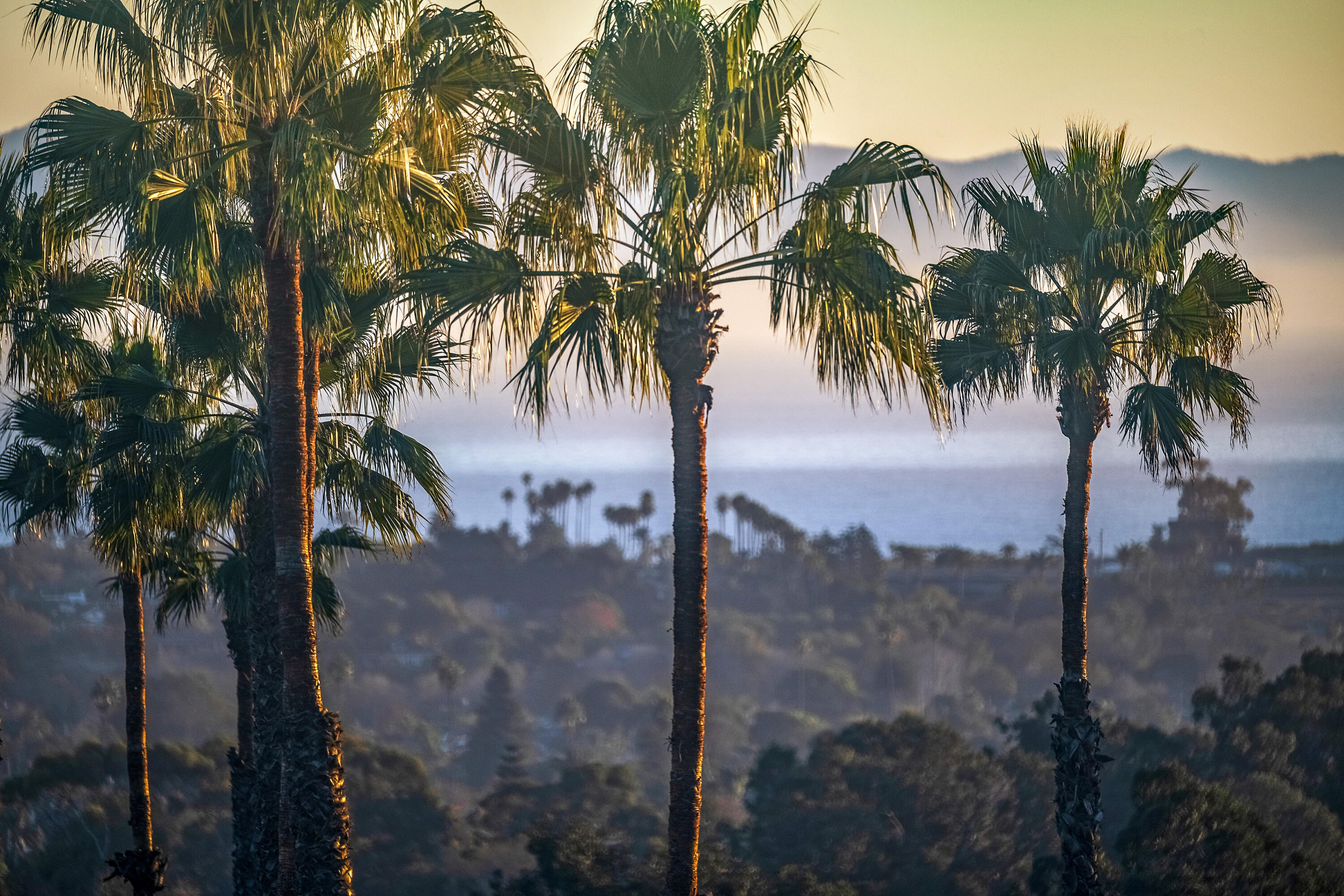 Santa Barbara, California 93111, United States, 3 Bedrooms Bedrooms, ,5 BathroomsBathrooms,Residential,Active,3317