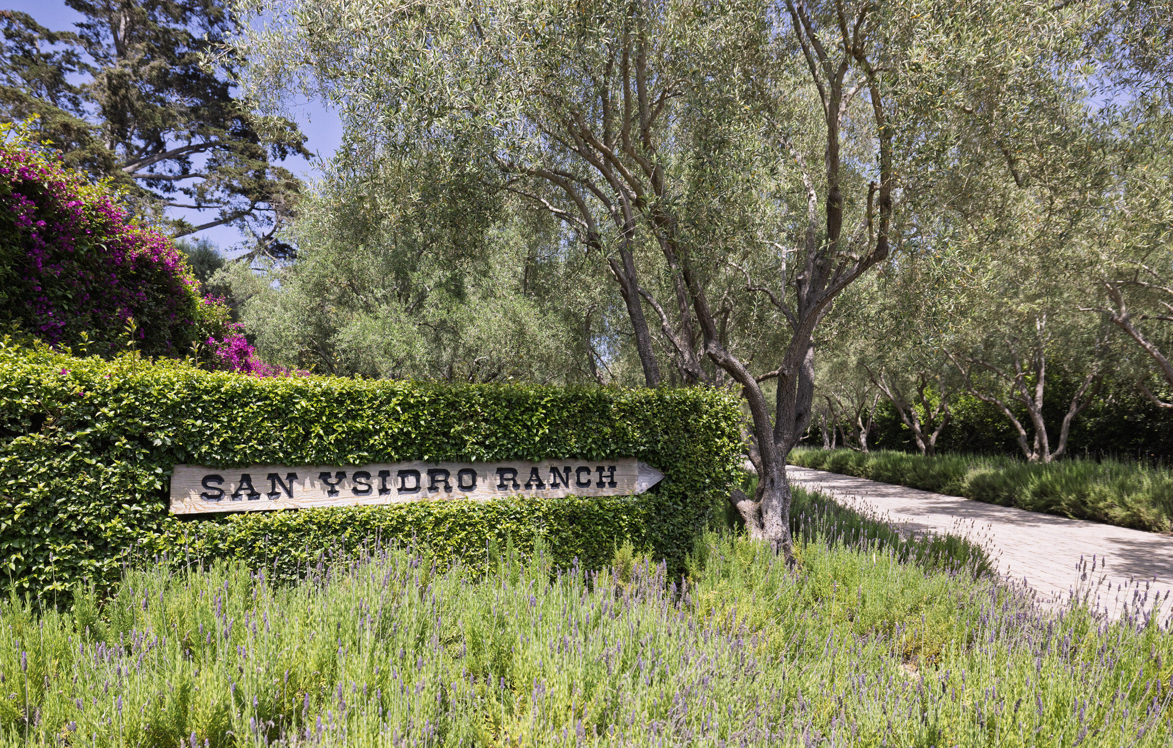 Santa Barbara, California 93108, United States, 3 Bedrooms Bedrooms, ,1 BathroomBathrooms,Residential,Active,181632