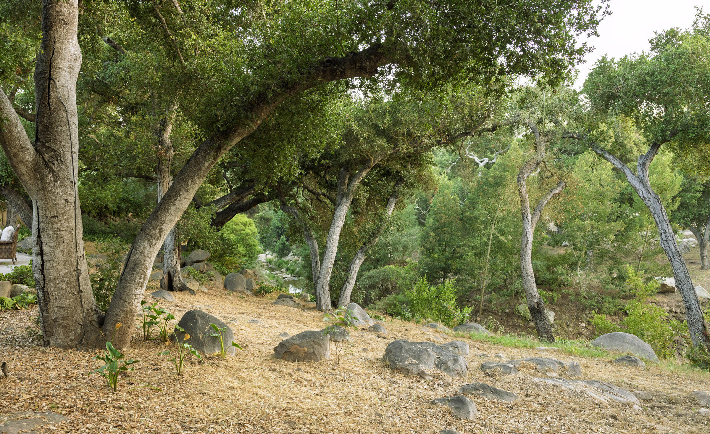 Santa Barbara, California 93108, United States, 3 Bedrooms Bedrooms, ,1 BathroomBathrooms,Residential,Active,181632