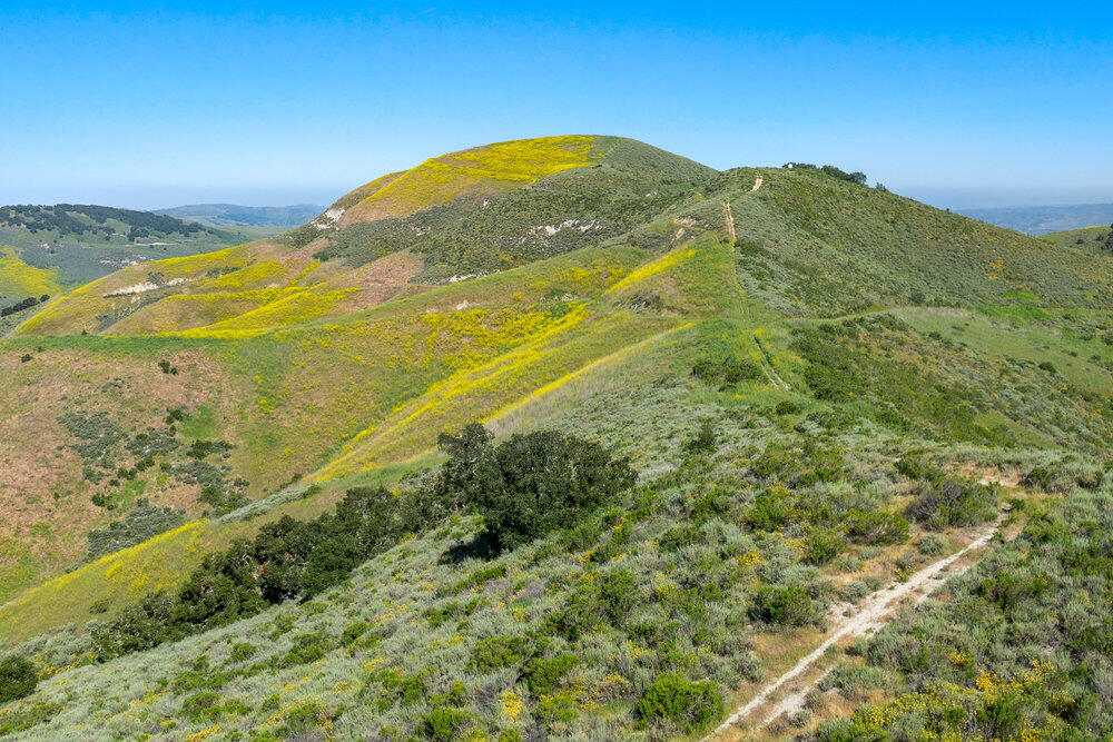 Los Alamos, California 93440, United States, ,Commercial,Active,120442