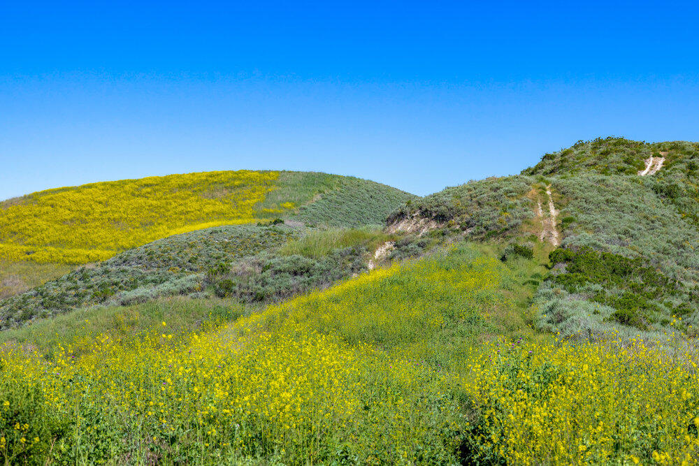 Los Alamos, California 93440, United States, ,Commercial,Active,120442