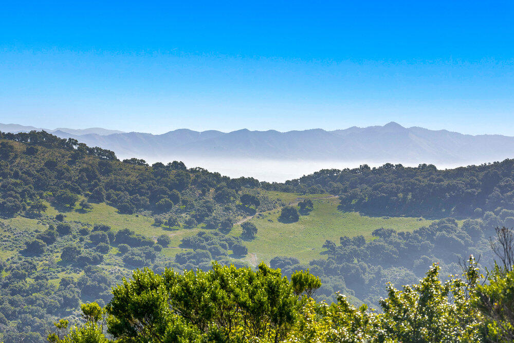 Los Alamos, California 93440, United States, ,Commercial,Active,120442