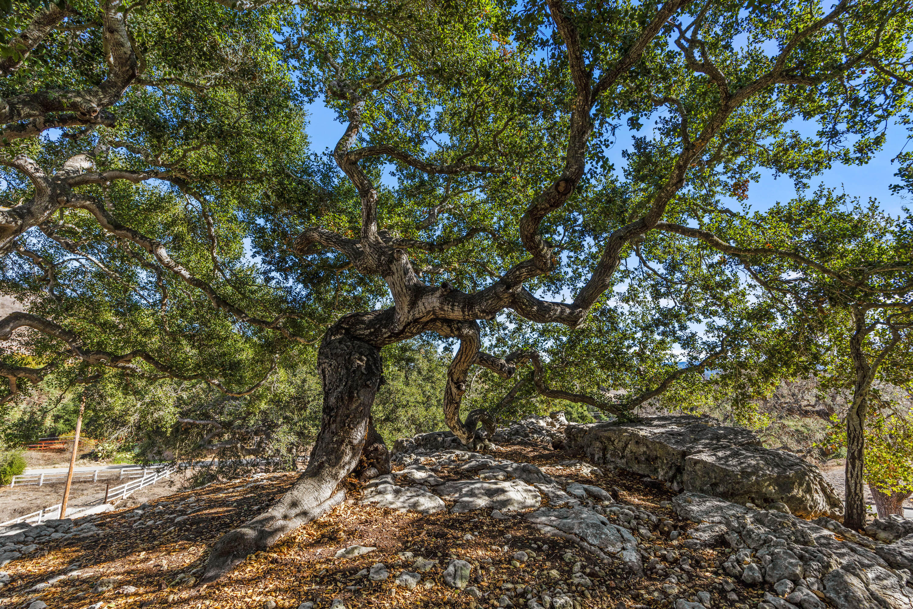 Solvang, California 93463, United States, 3 Bedrooms Bedrooms, ,2 BathroomsBathrooms,Residential,Active,77578