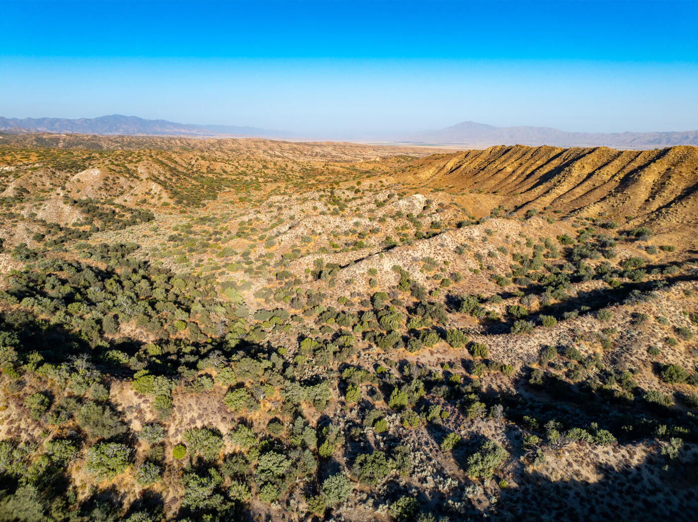 Cuyama, California 93254, United States, ,Commercial,Active,69695