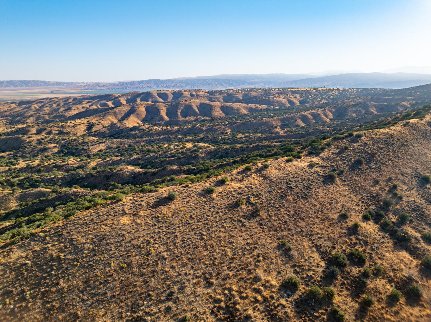 Cuyama, California 93254, United States, ,Commercial,Active,69695