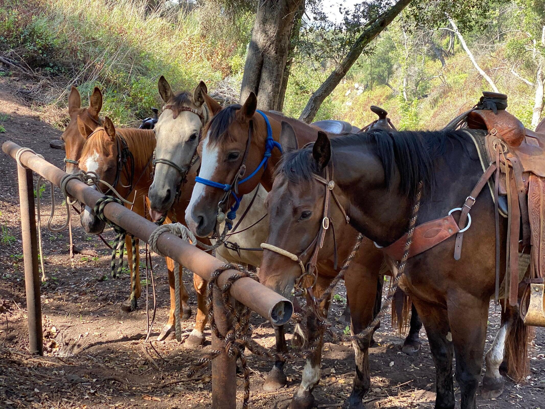 Carpinteria, California 93013, United States, ,Land,Active,2043