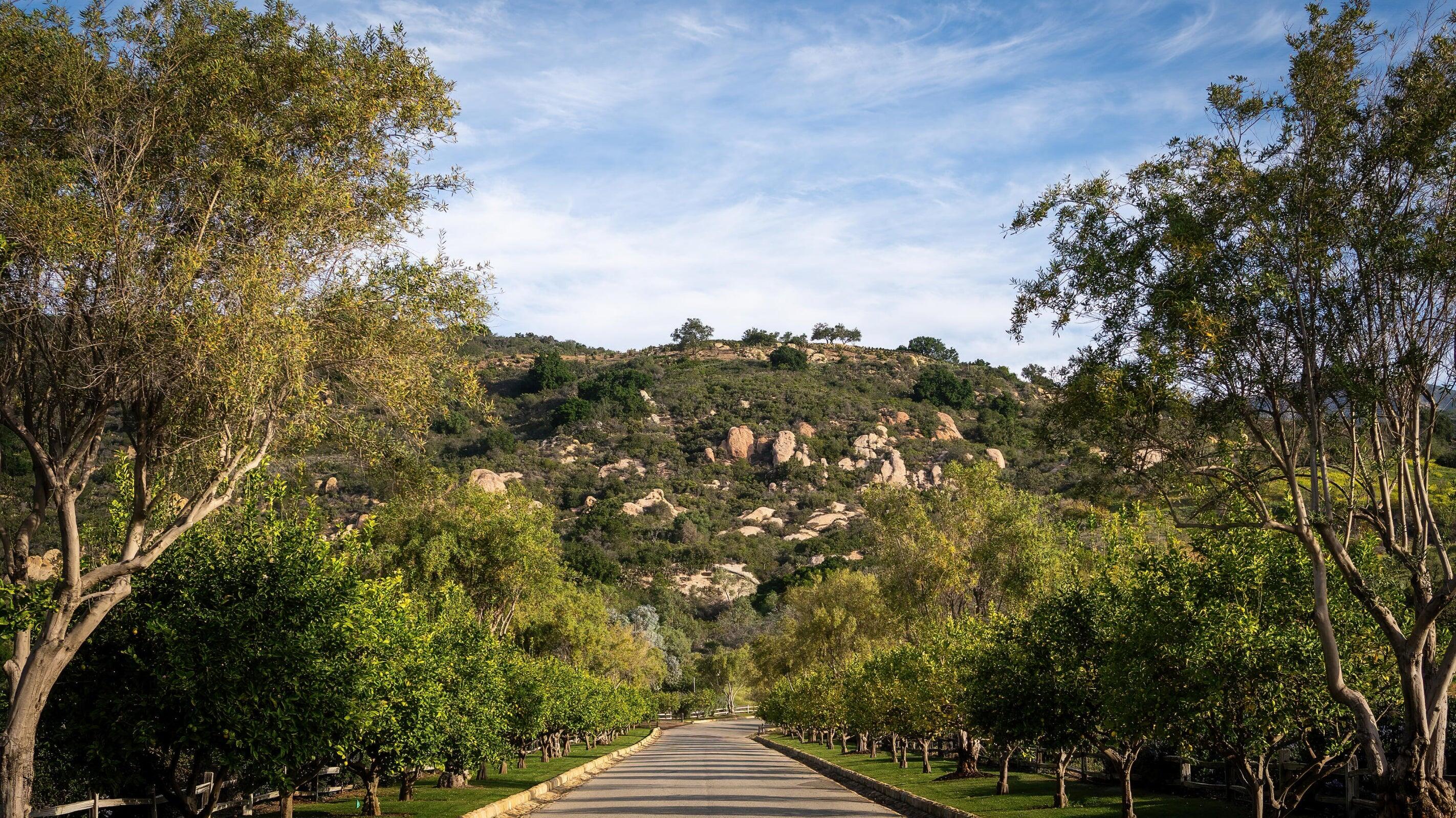 Carpinteria, California 93013, United States, ,Land,Active,2043