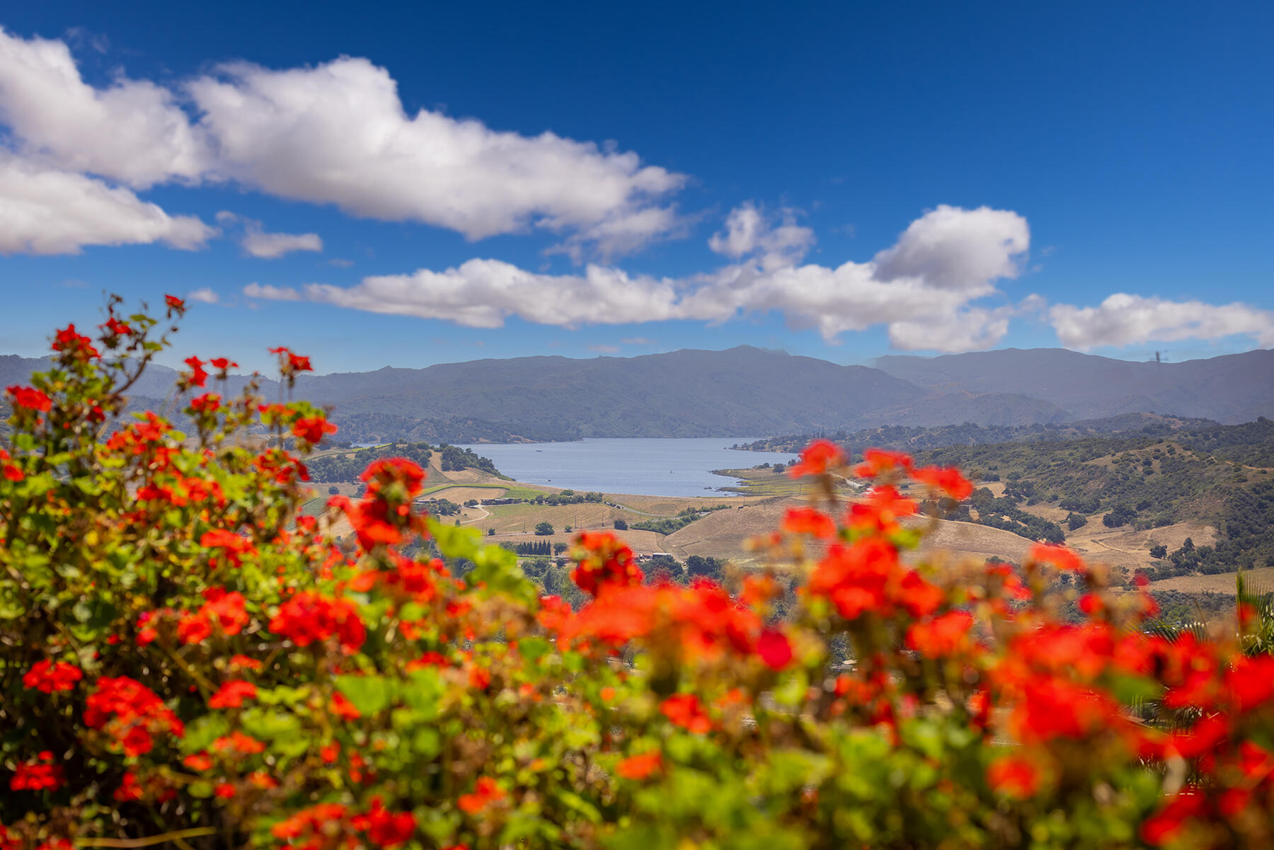 Oak View, California 93022, United States, 6 Bedrooms Bedrooms, ,6 BathroomsBathrooms,Residential,Active,89714