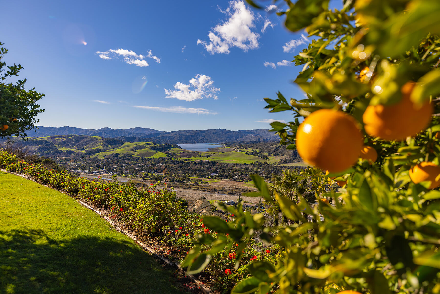 Oak View, California 93022, United States, 6 Bedrooms Bedrooms, ,6 BathroomsBathrooms,Residential,Active,89714