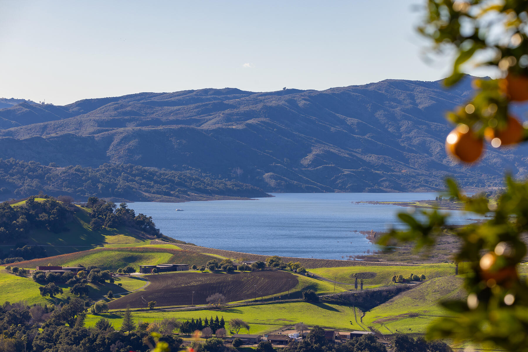 Oak View, California 93022, United States, 6 Bedrooms Bedrooms, ,6 BathroomsBathrooms,Residential,Active,89714