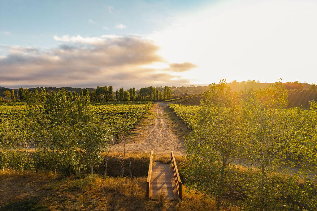 Lompoc, California 93436, United States, 4 Bedrooms Bedrooms, ,2 BathroomsBathrooms,Residential,Active,177038