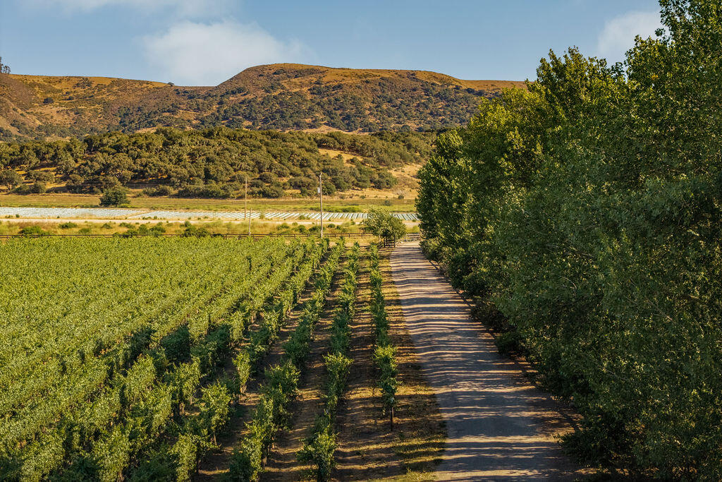 Lompoc, California 93436, United States, 4 Bedrooms Bedrooms, ,2 BathroomsBathrooms,Residential,Active,177038