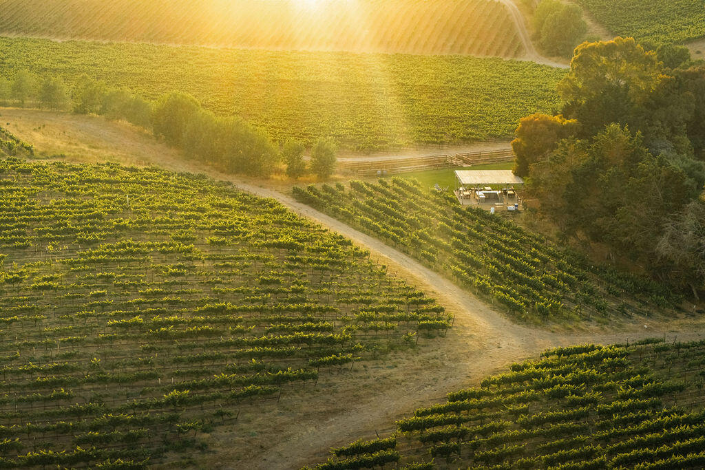 Lompoc, California 93436, United States, 4 Bedrooms Bedrooms, ,2 BathroomsBathrooms,Residential,Active,177038