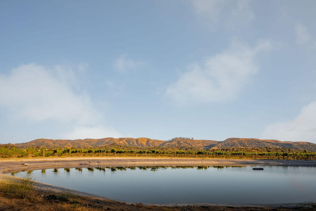 Lompoc, California 93436, United States, 4 Bedrooms Bedrooms, ,2 BathroomsBathrooms,Residential,Active,177038