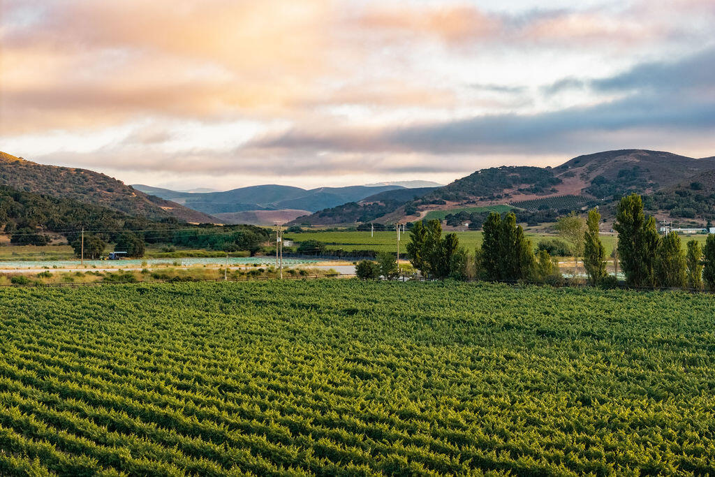 Lompoc, California 93436, United States, 4 Bedrooms Bedrooms, ,2 BathroomsBathrooms,Residential,Active,177038