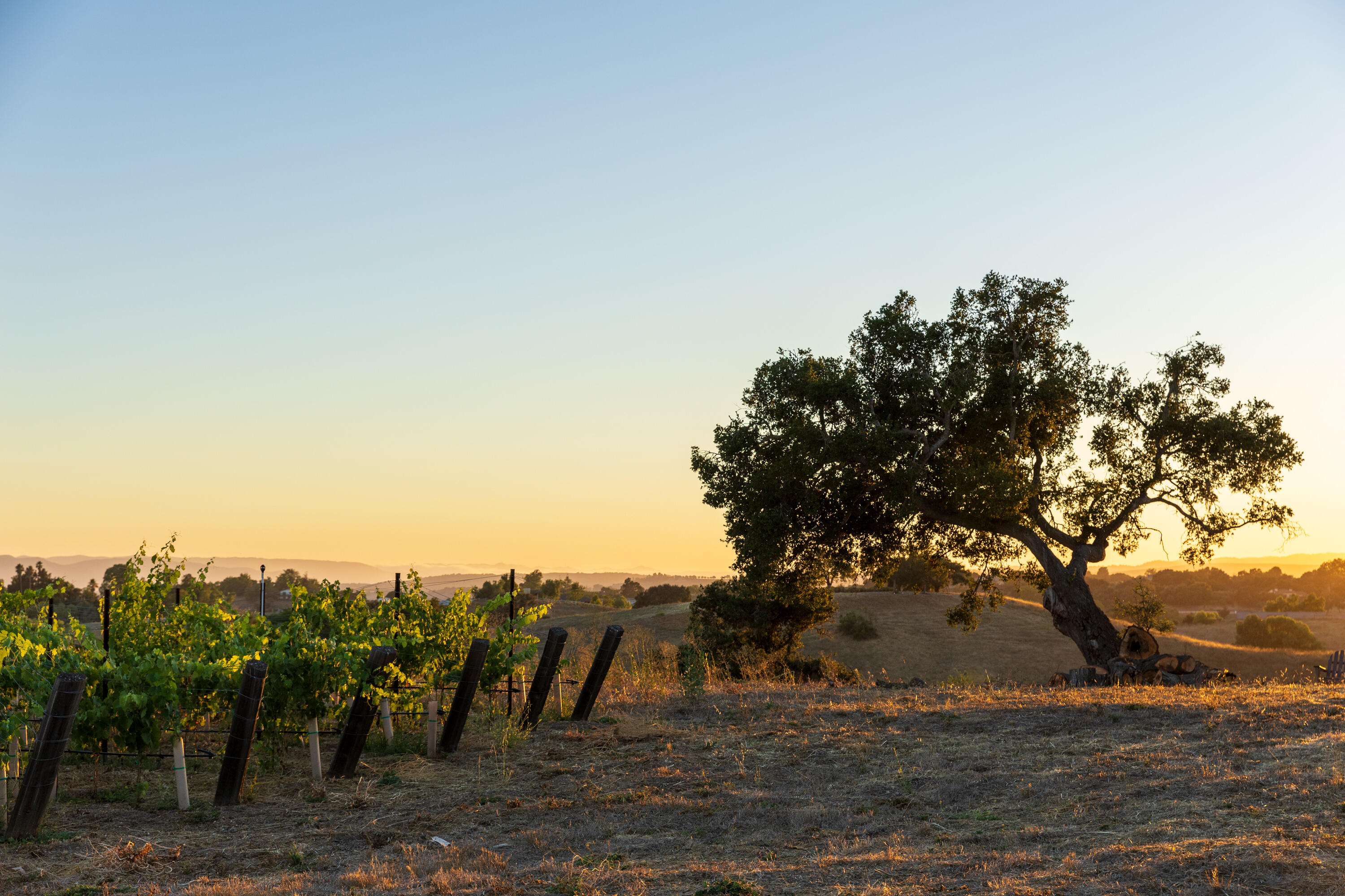 Santa Ynez, California 93460, United States, 6 Bedrooms Bedrooms, ,7 BathroomsBathrooms,Residential,Active,139785