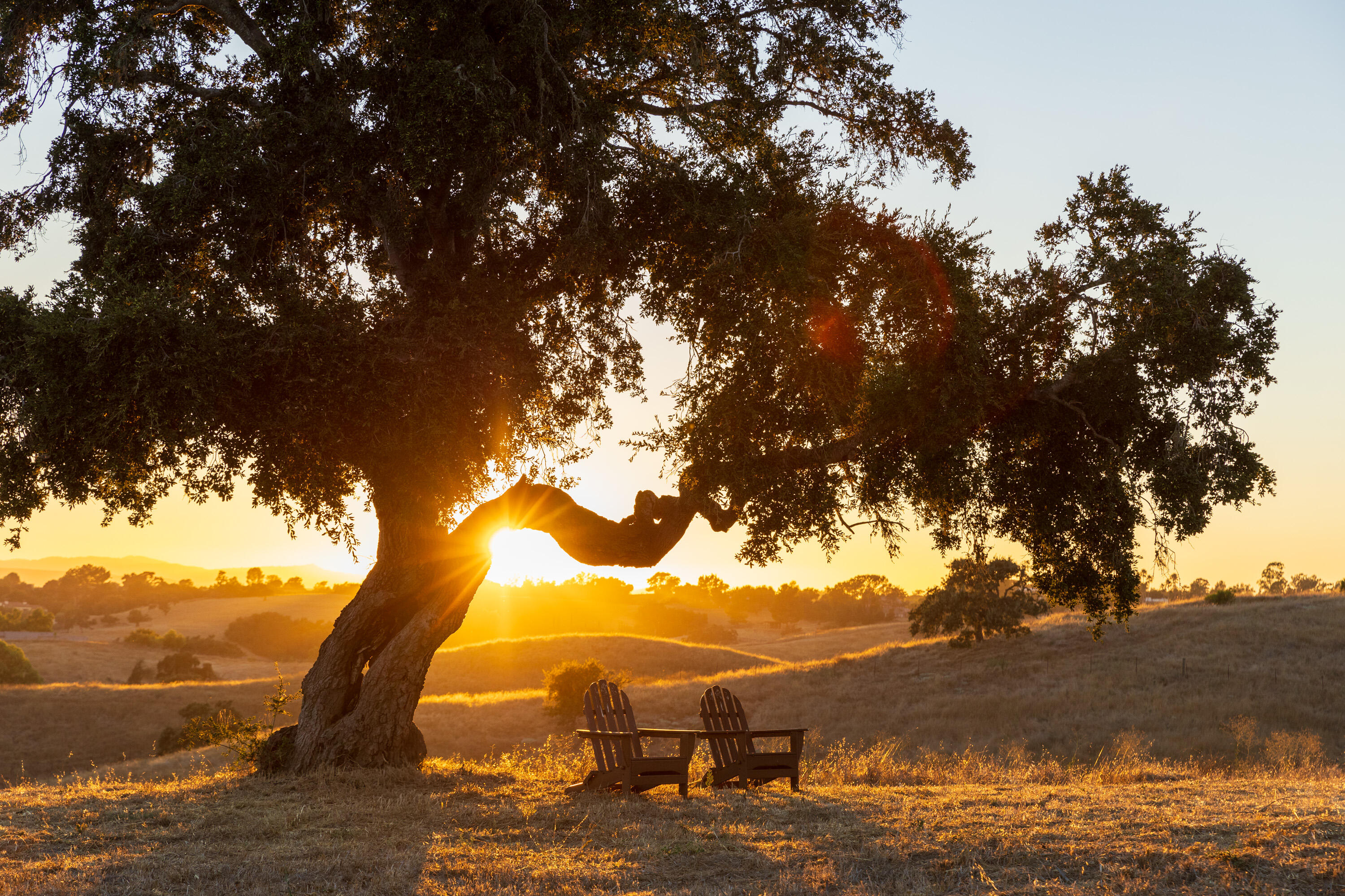 Santa Ynez, California 93460, United States, 6 Bedrooms Bedrooms, ,7 BathroomsBathrooms,Residential,Active,139785