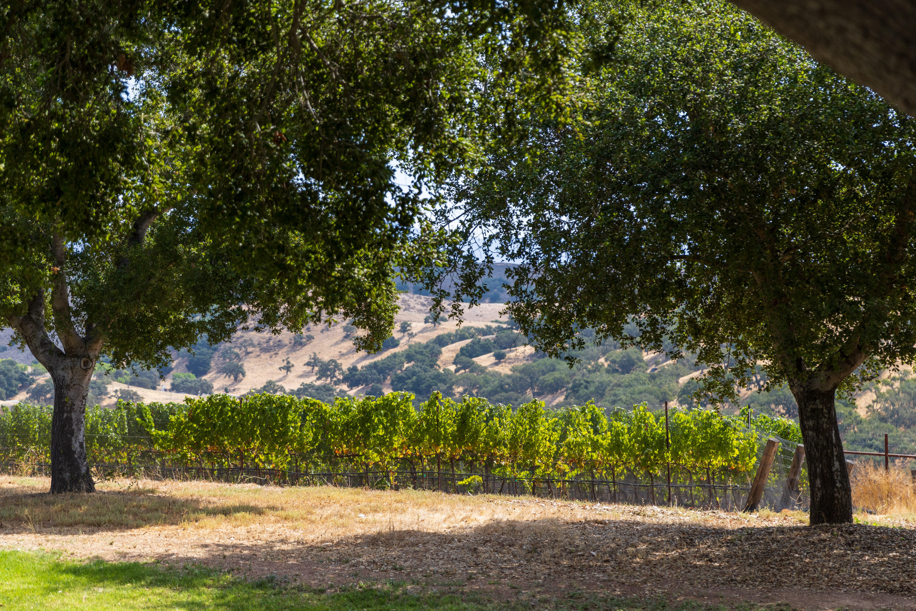 Santa Ynez, California 93460, United States, 6 Bedrooms Bedrooms, ,7 BathroomsBathrooms,Residential,Active,139785