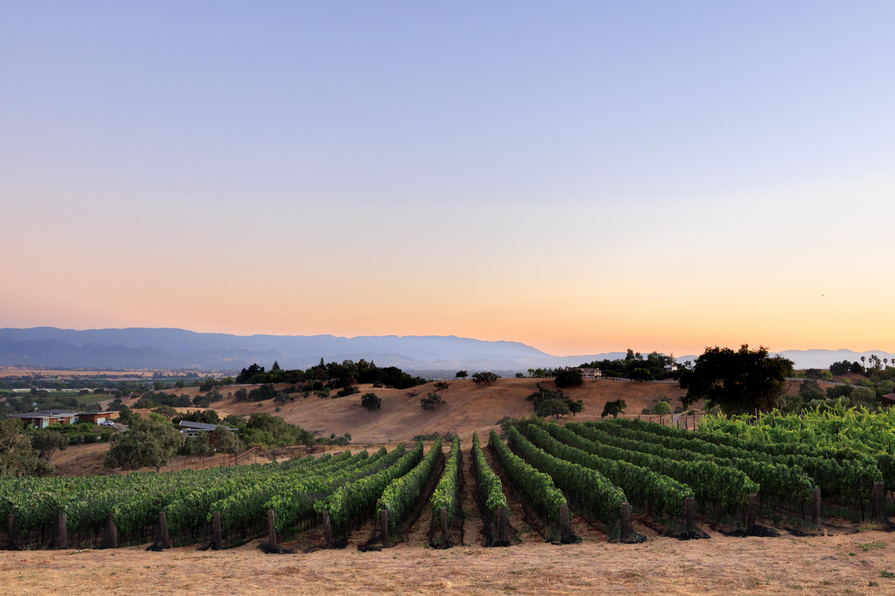 Santa Ynez, California 93460, United States, 6 Bedrooms Bedrooms, ,7 BathroomsBathrooms,Residential,Active,139785