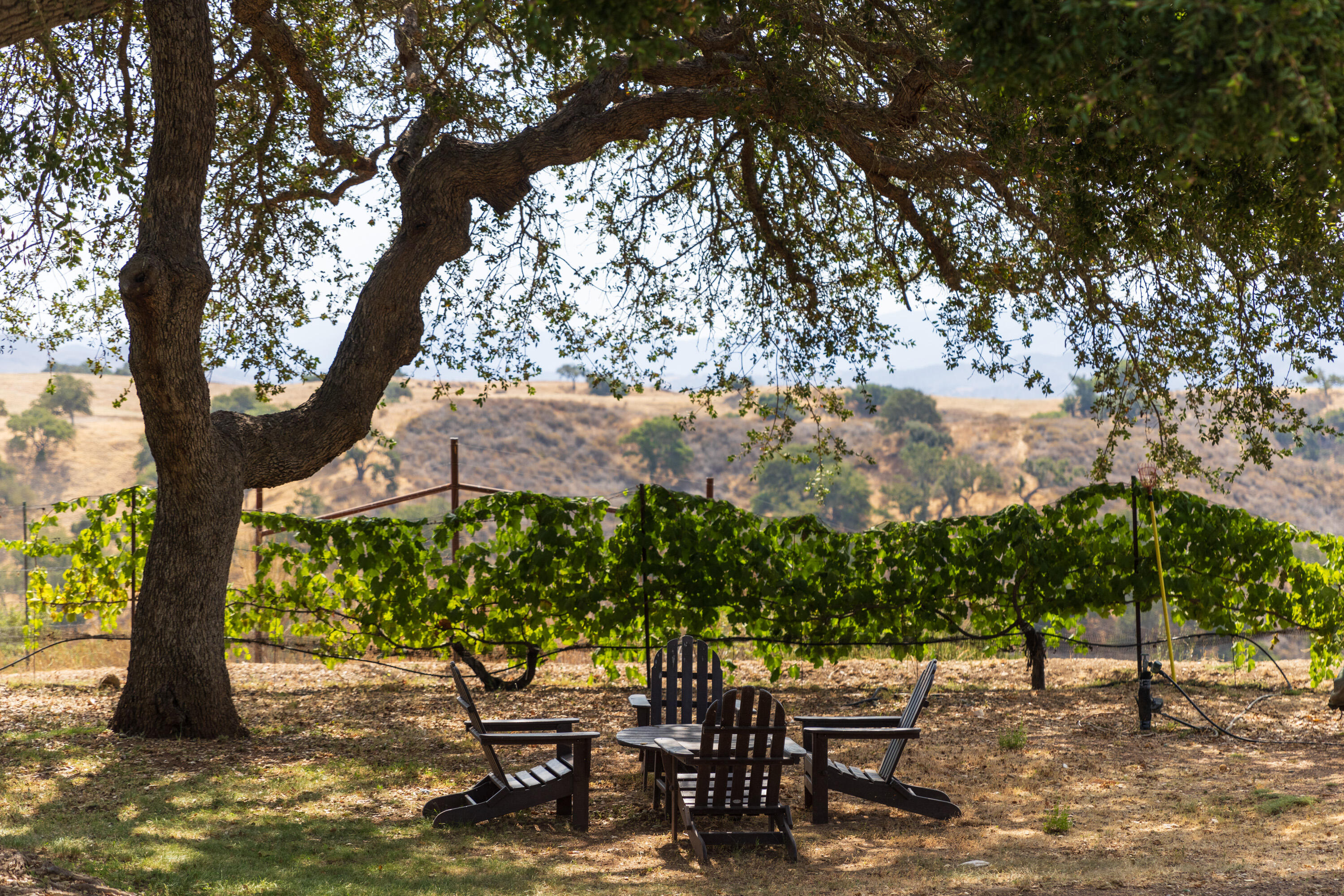 Santa Ynez, California 93460, United States, 6 Bedrooms Bedrooms, ,7 BathroomsBathrooms,Residential,Active,139785