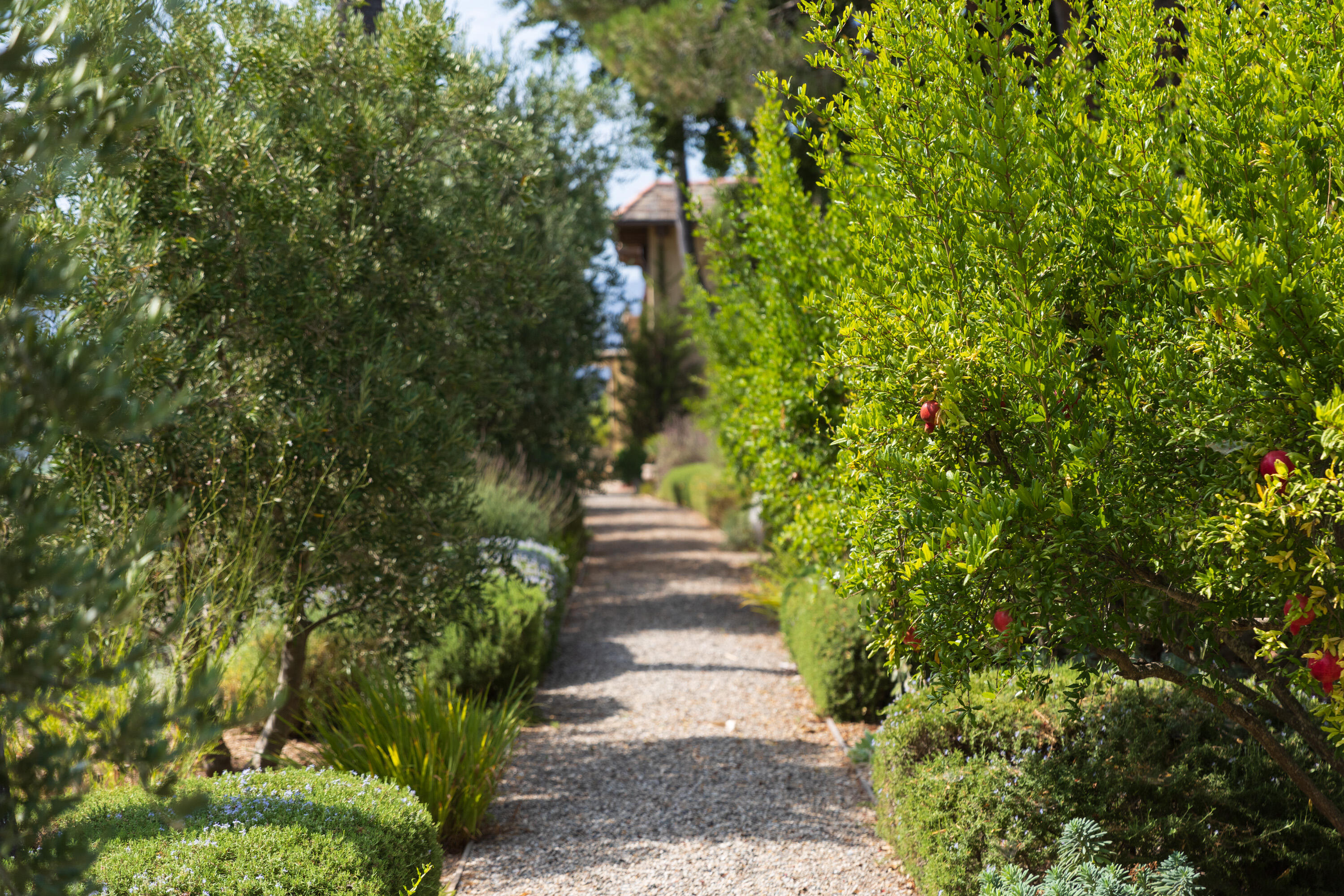 Santa Ynez, California 93460, United States, 6 Bedrooms Bedrooms, ,7 BathroomsBathrooms,Residential,Active,139785