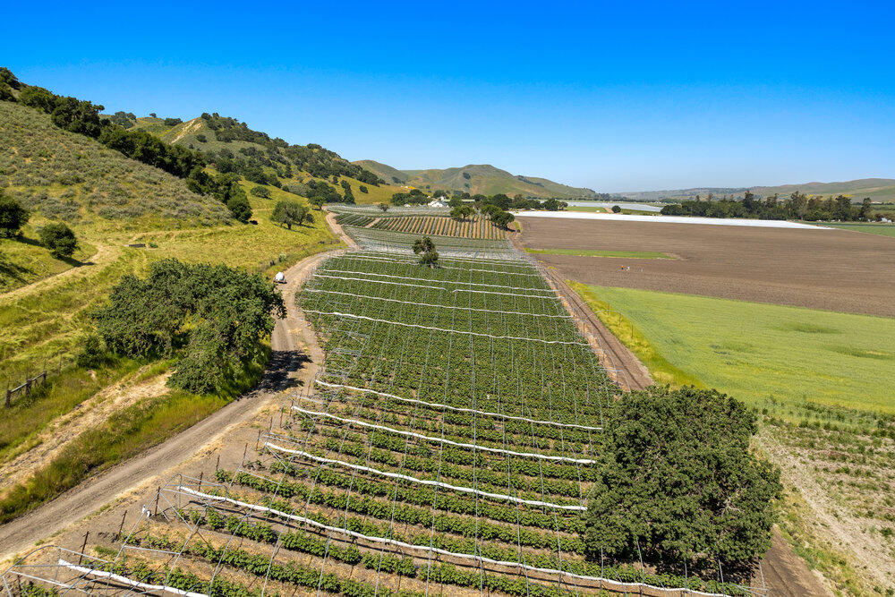 Los Alamos, California 93440, United States, ,Commercial,Active,120505