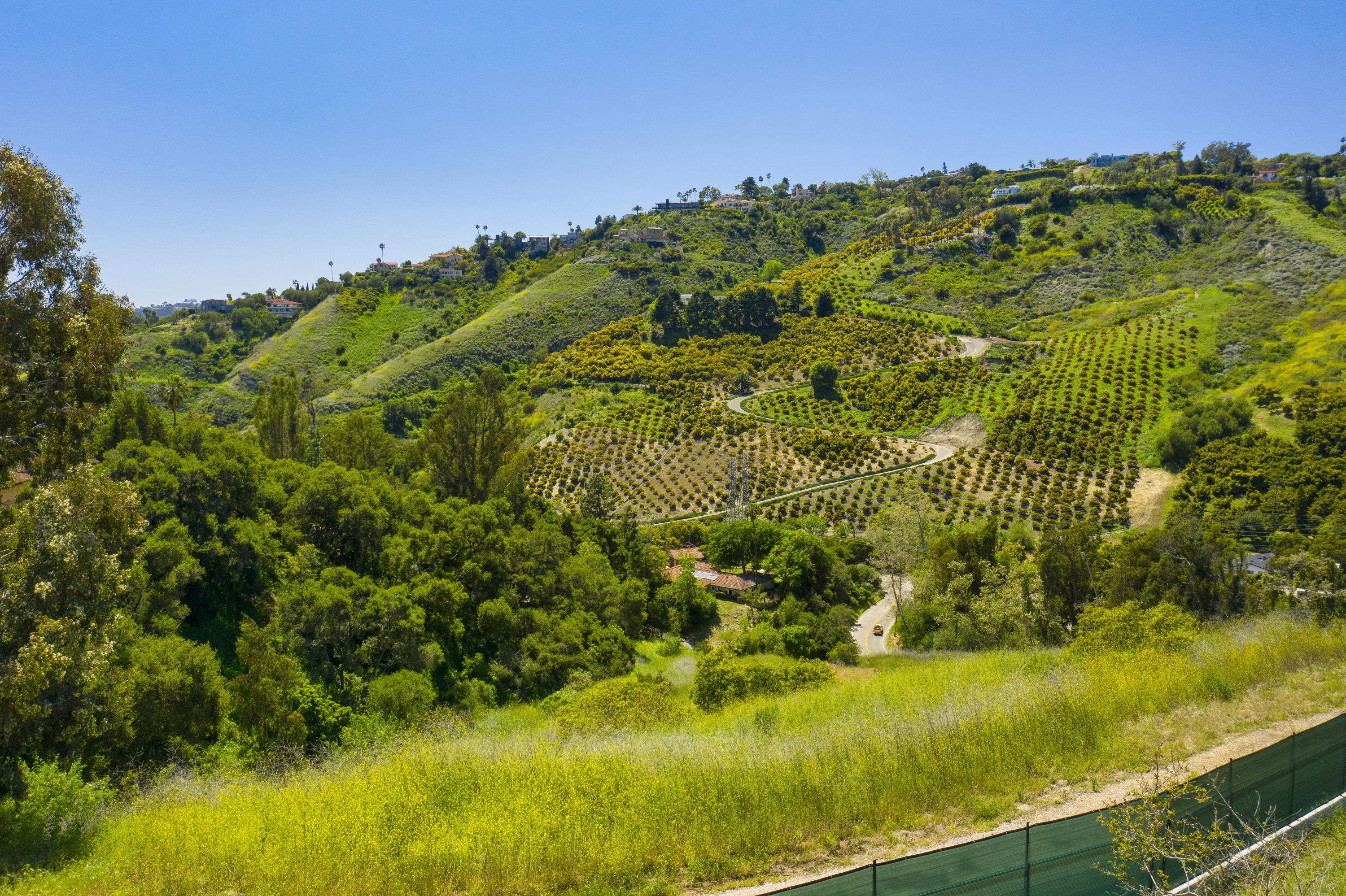 557 Sycamore Vista Road