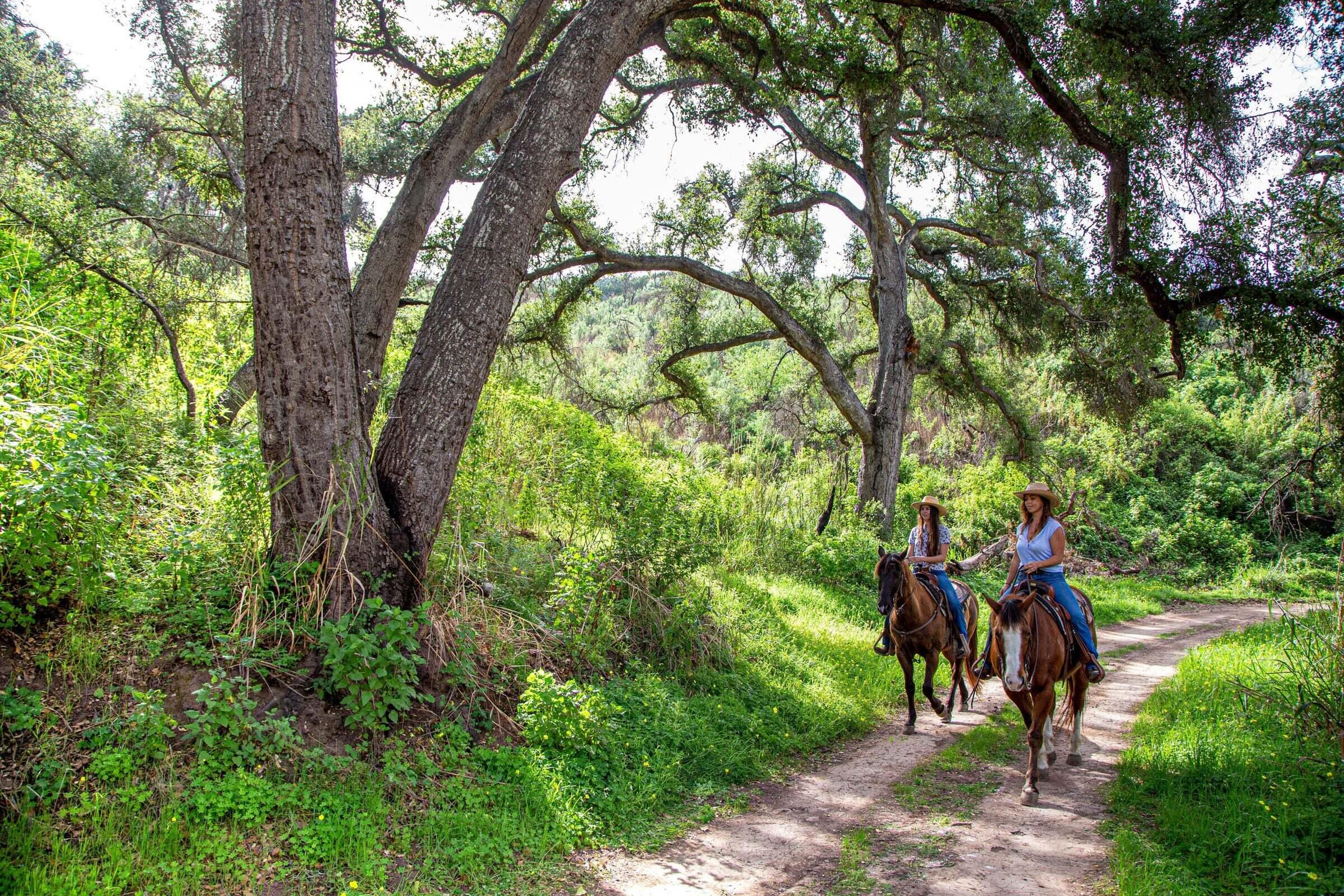 Carpinteria, California 93013, United States, ,Land,Active,50163
