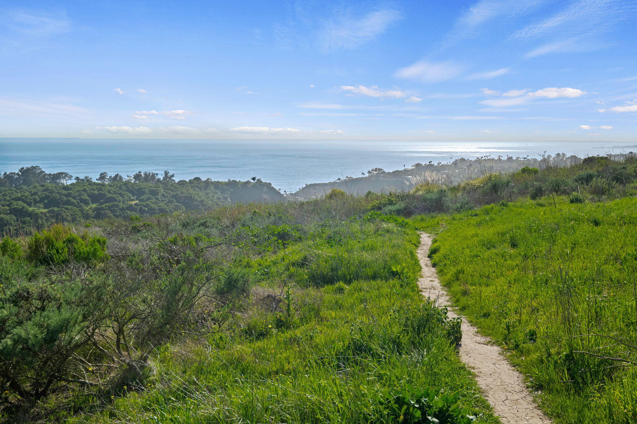 Santa Barbara, California 93109, United States, 3 Bedrooms Bedrooms, ,2 BathroomsBathrooms,Residential,Active,172394