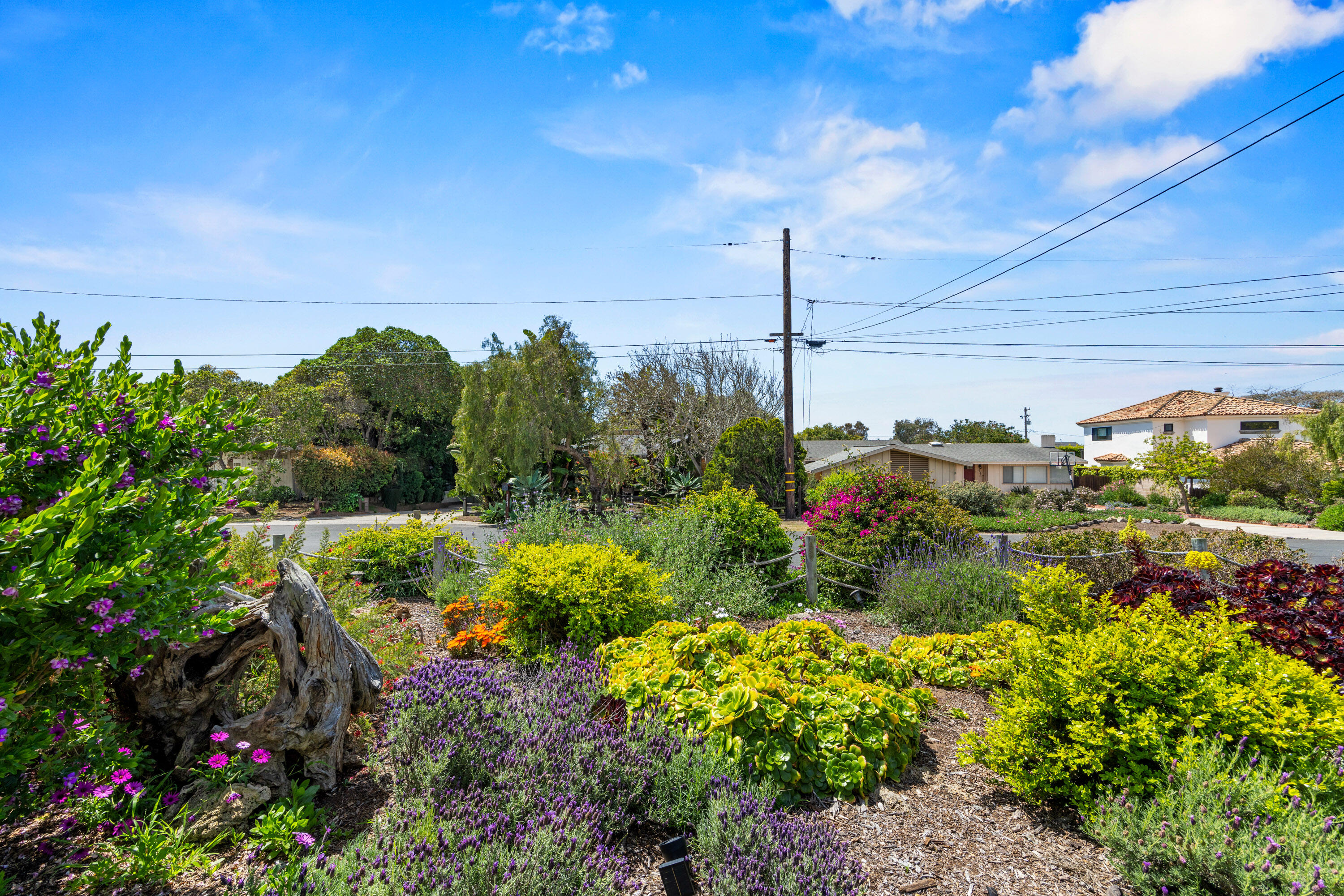 Carpinteria, California 93013, United States, 3 Bedrooms Bedrooms, ,2 BathroomsBathrooms,Residential,Pending,109259