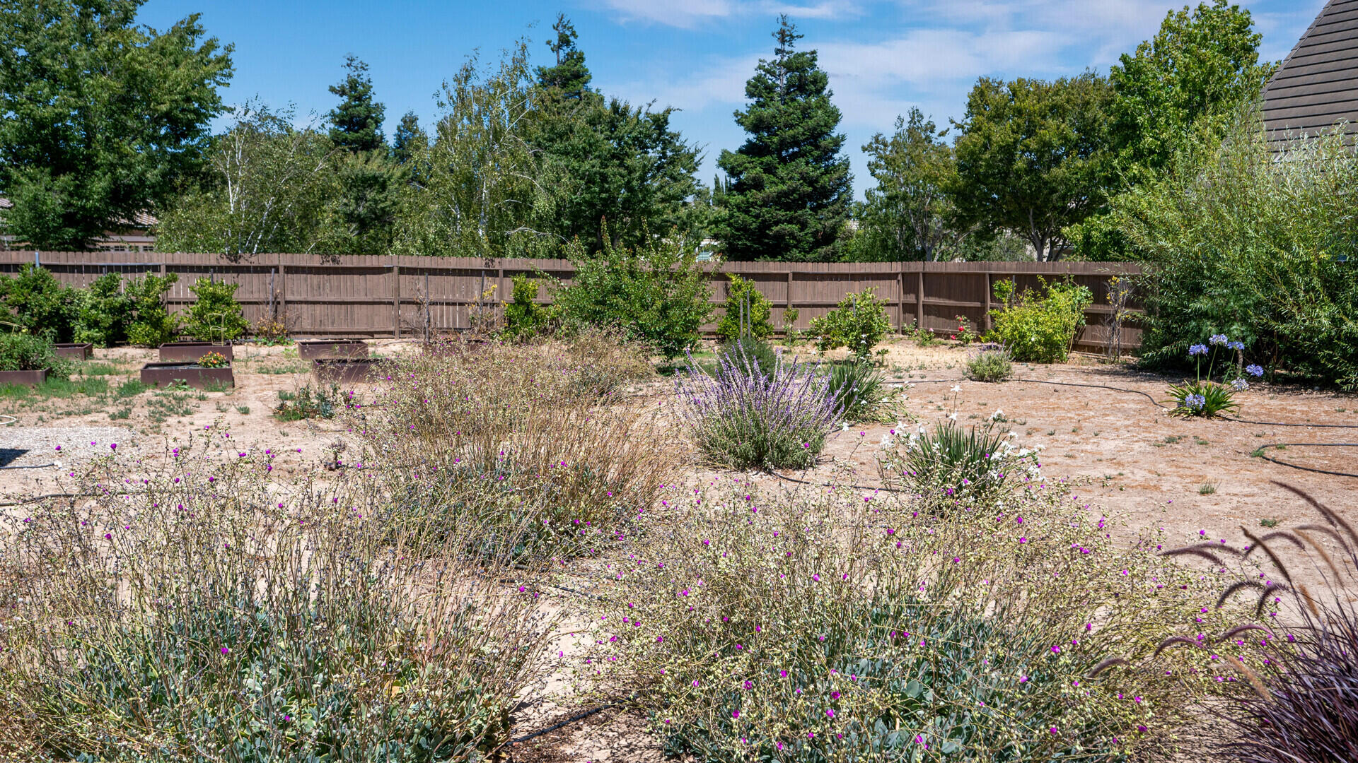 Solvang, California 93463, United States, 4 Bedrooms Bedrooms, ,3 BathroomsBathrooms,Residential,Active,178472