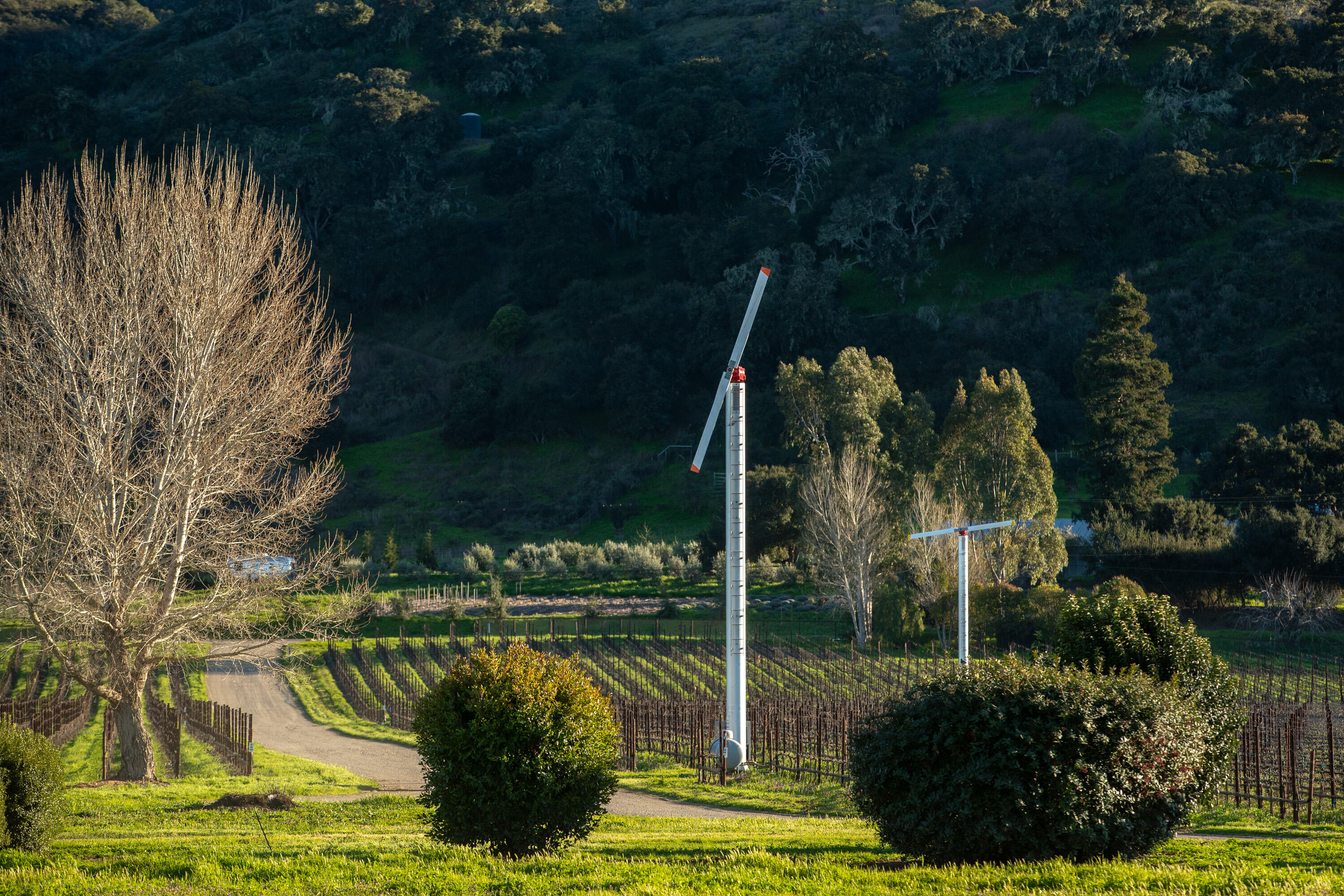 Buellton, California 93427, United States, 3 Bedrooms Bedrooms, ,3 BathroomsBathrooms,Residential,Active,62570