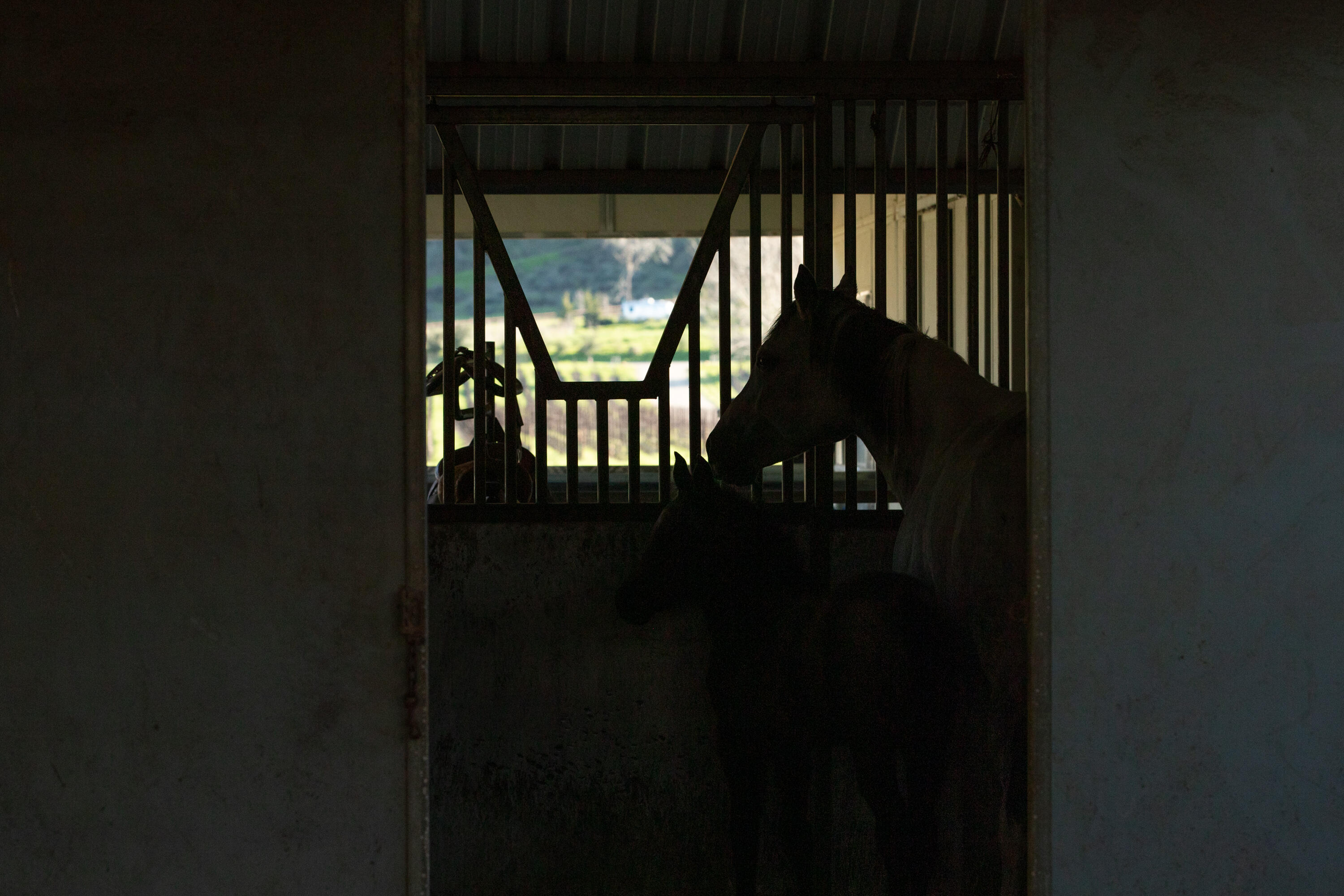 Buellton, California 93427, United States, 3 Bedrooms Bedrooms, ,3 BathroomsBathrooms,Residential,Active,62570