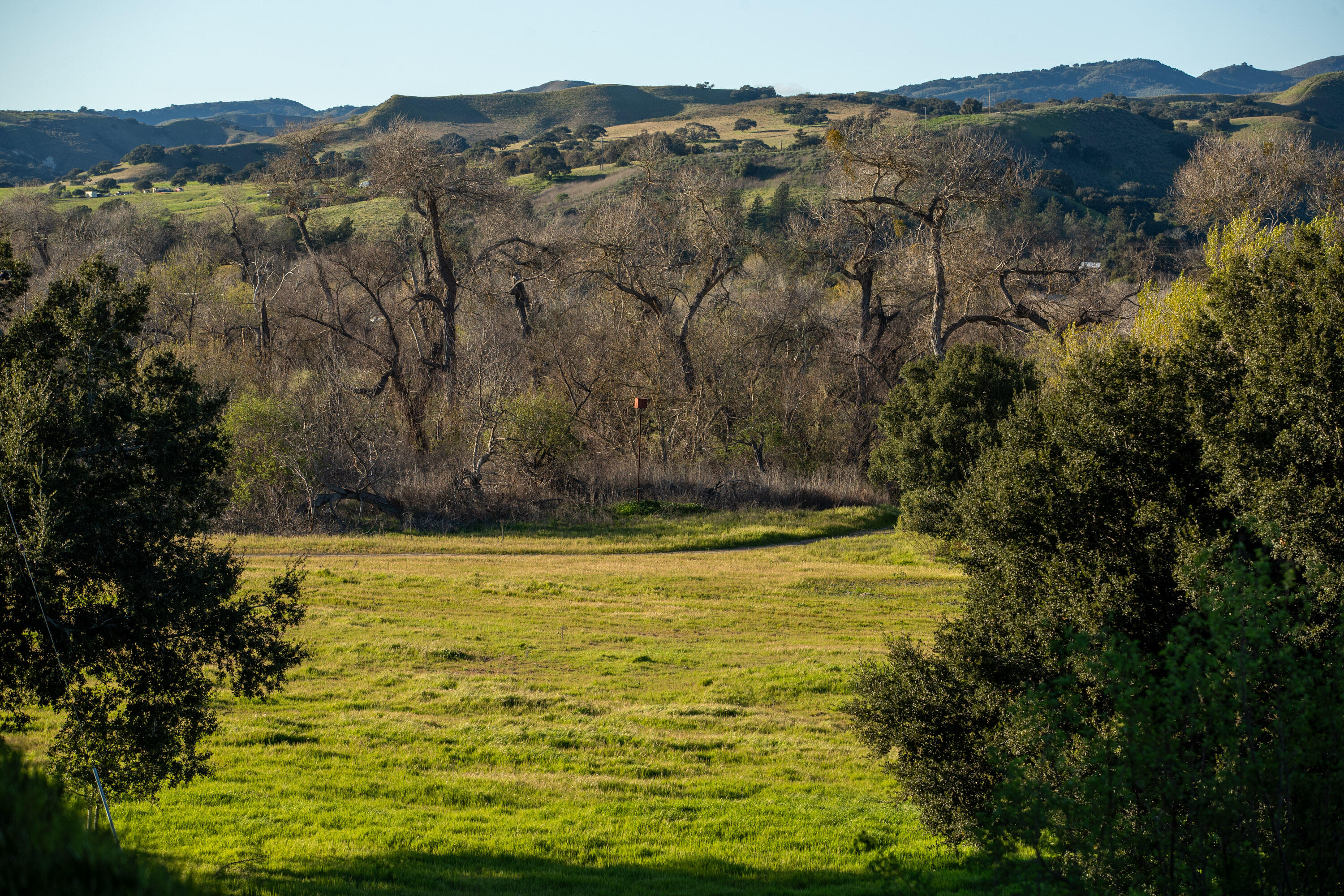 Buellton, California 93427, United States, 3 Bedrooms Bedrooms, ,3 BathroomsBathrooms,Residential,Active,62570