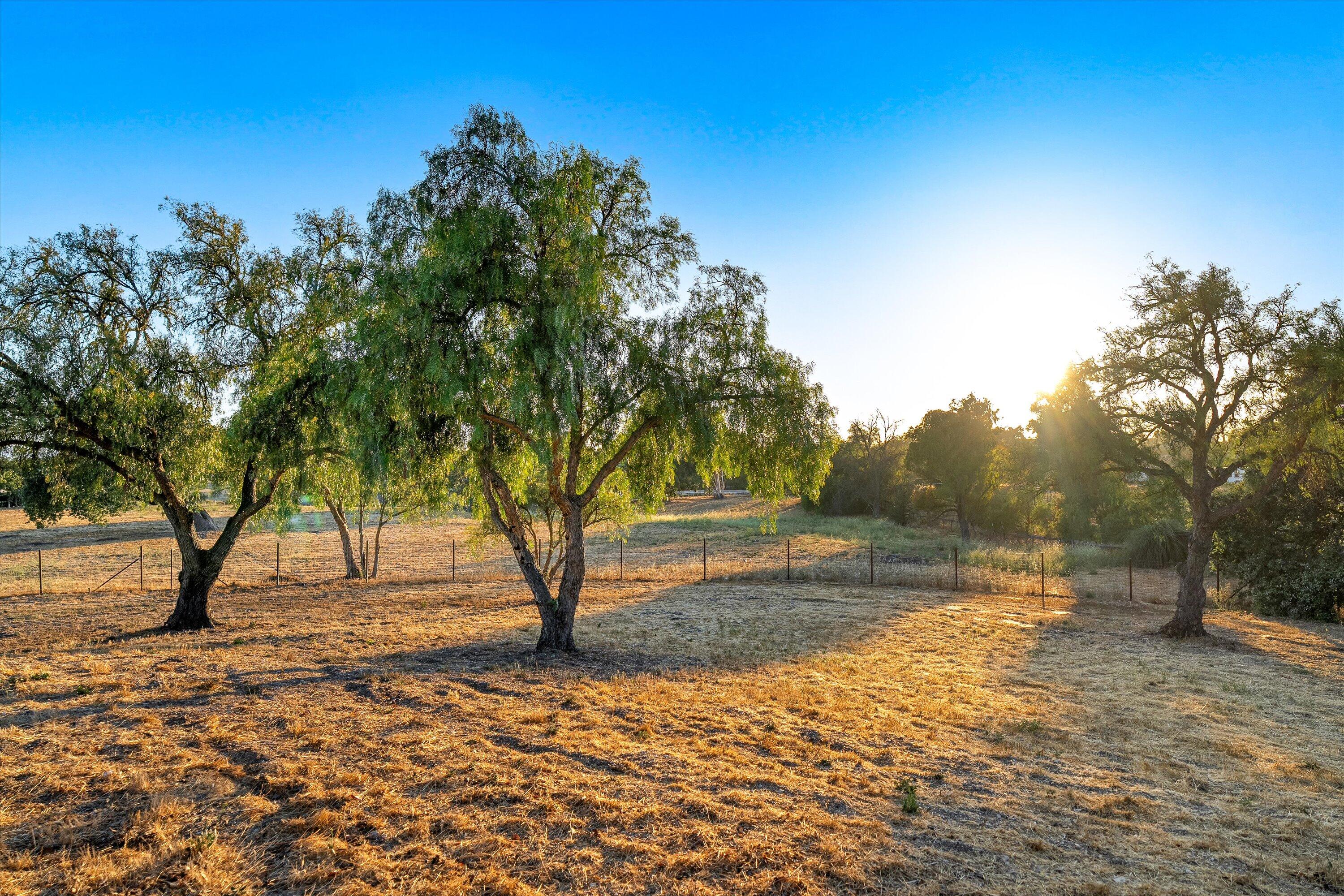 Santa Ynez, California 93460, United States, 5 Bedrooms Bedrooms, ,5 BathroomsBathrooms,Residential,Active,188116