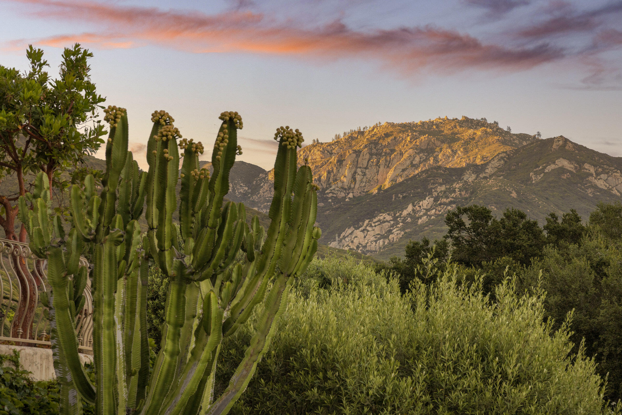 Santa Barbara, California 93105, United States, 4 Bedrooms Bedrooms, ,4 BathroomsBathrooms,Residential,Active,170682