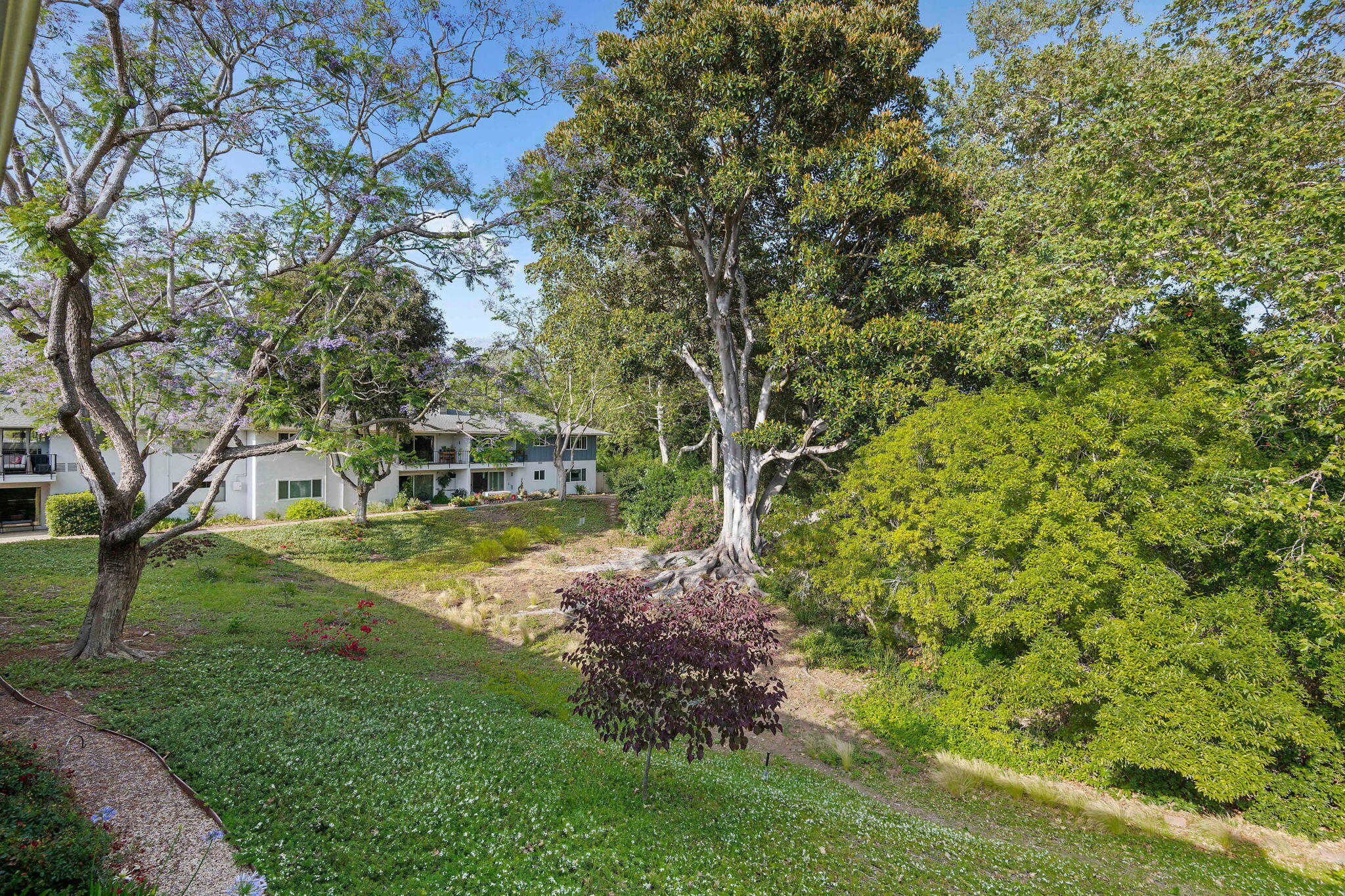 Santa Barbara, California 93105, United States, 2 Bedrooms Bedrooms, ,2 BathroomsBathrooms,Residential,Active,158855