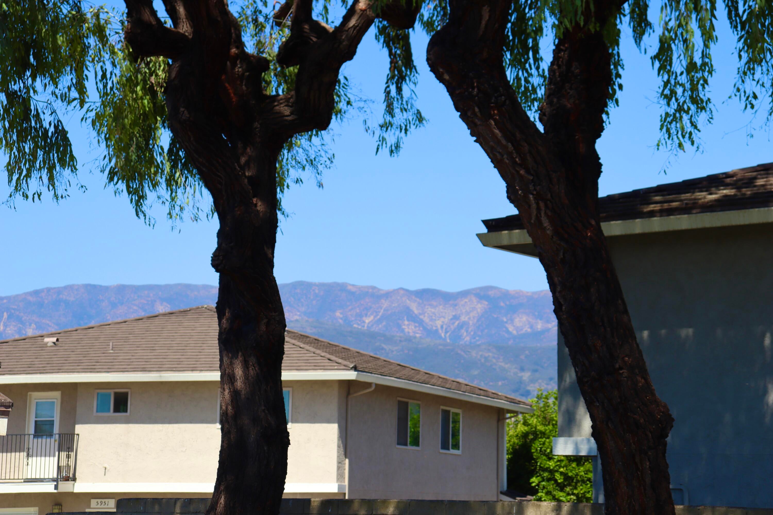 5916 Via Real Apt 4