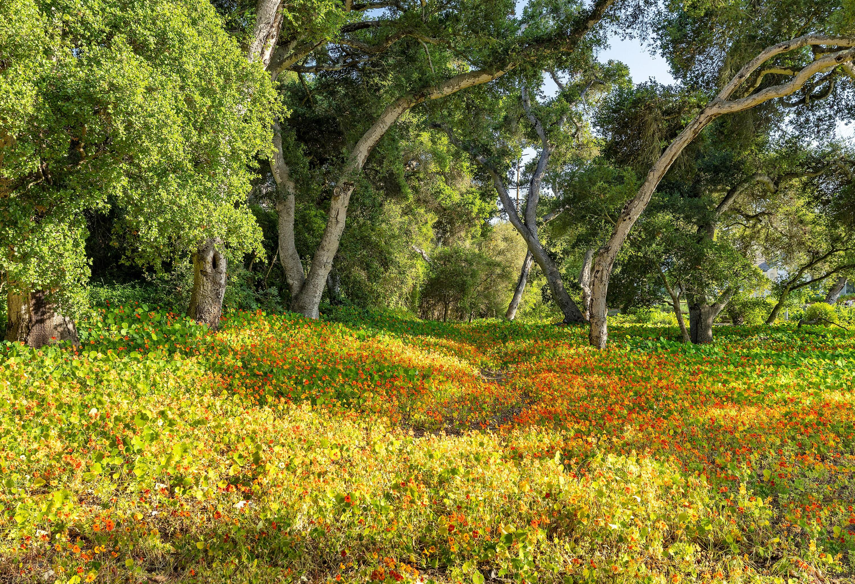 Montecito, California 93108, United States, 3 Bedrooms Bedrooms, ,3 BathroomsBathrooms,Residential,Active,140726