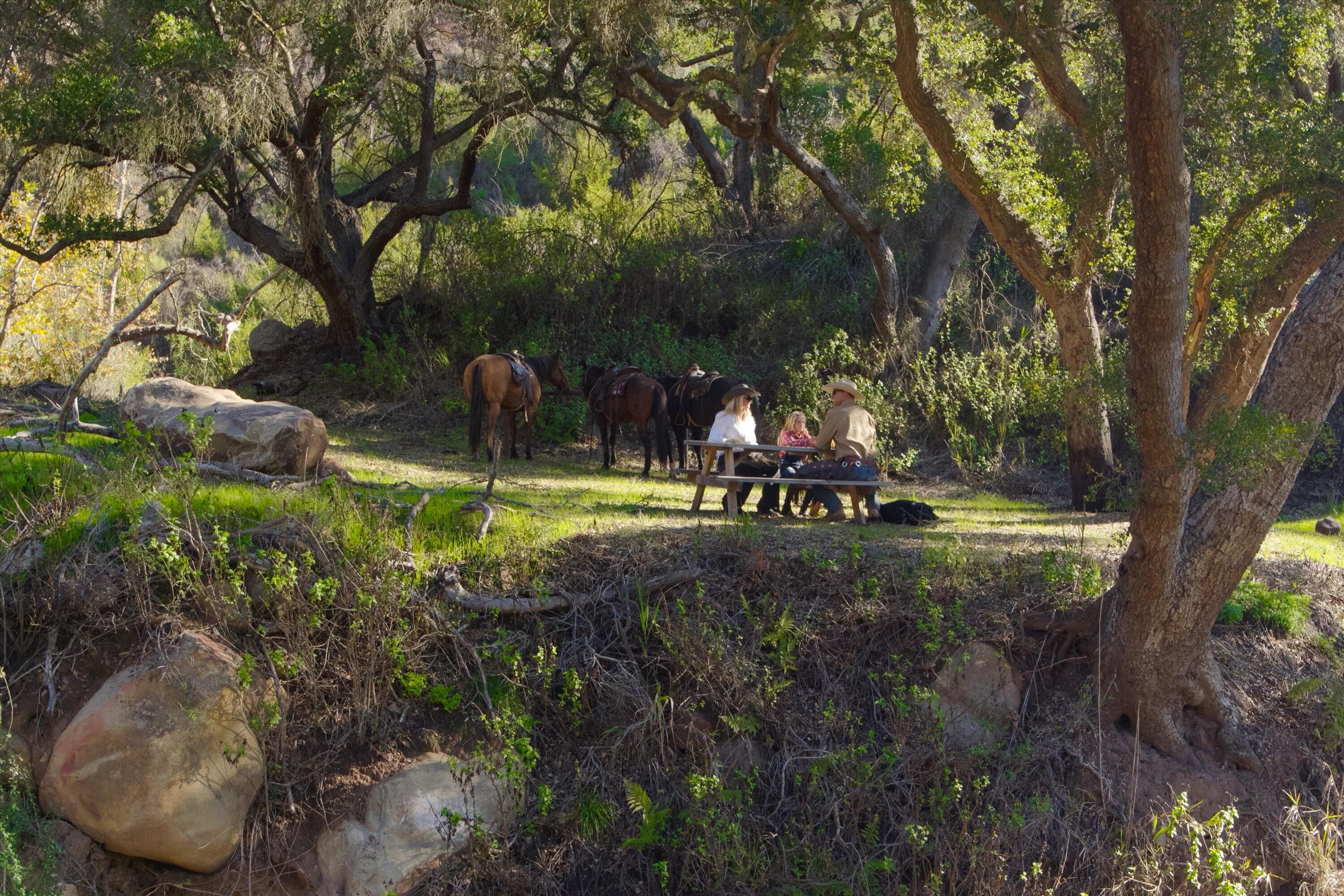 Carpinteria, California 93013, United States, ,Land,Active,2042