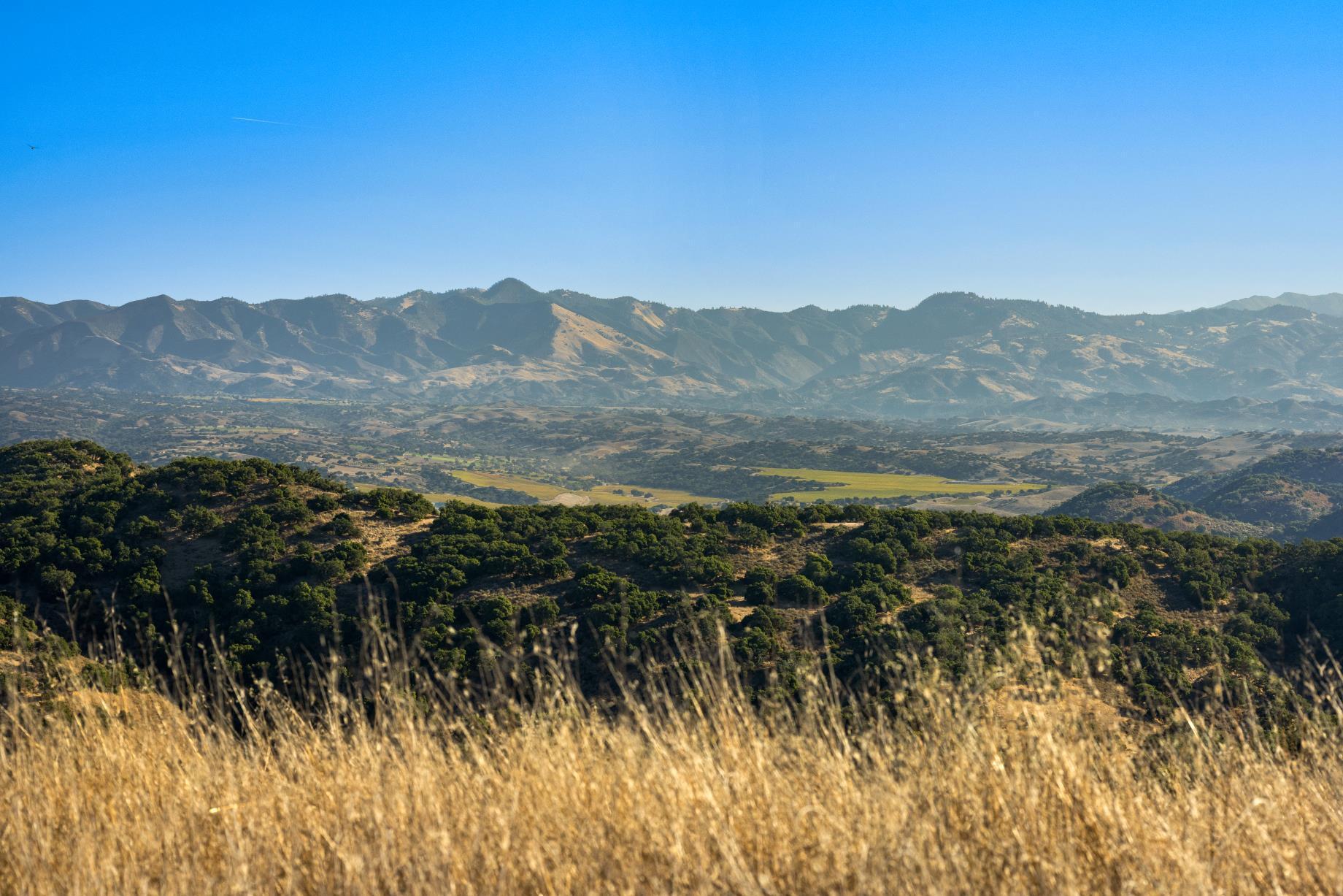 Los Alamos, California 93440, United States, ,Land,Active,41591