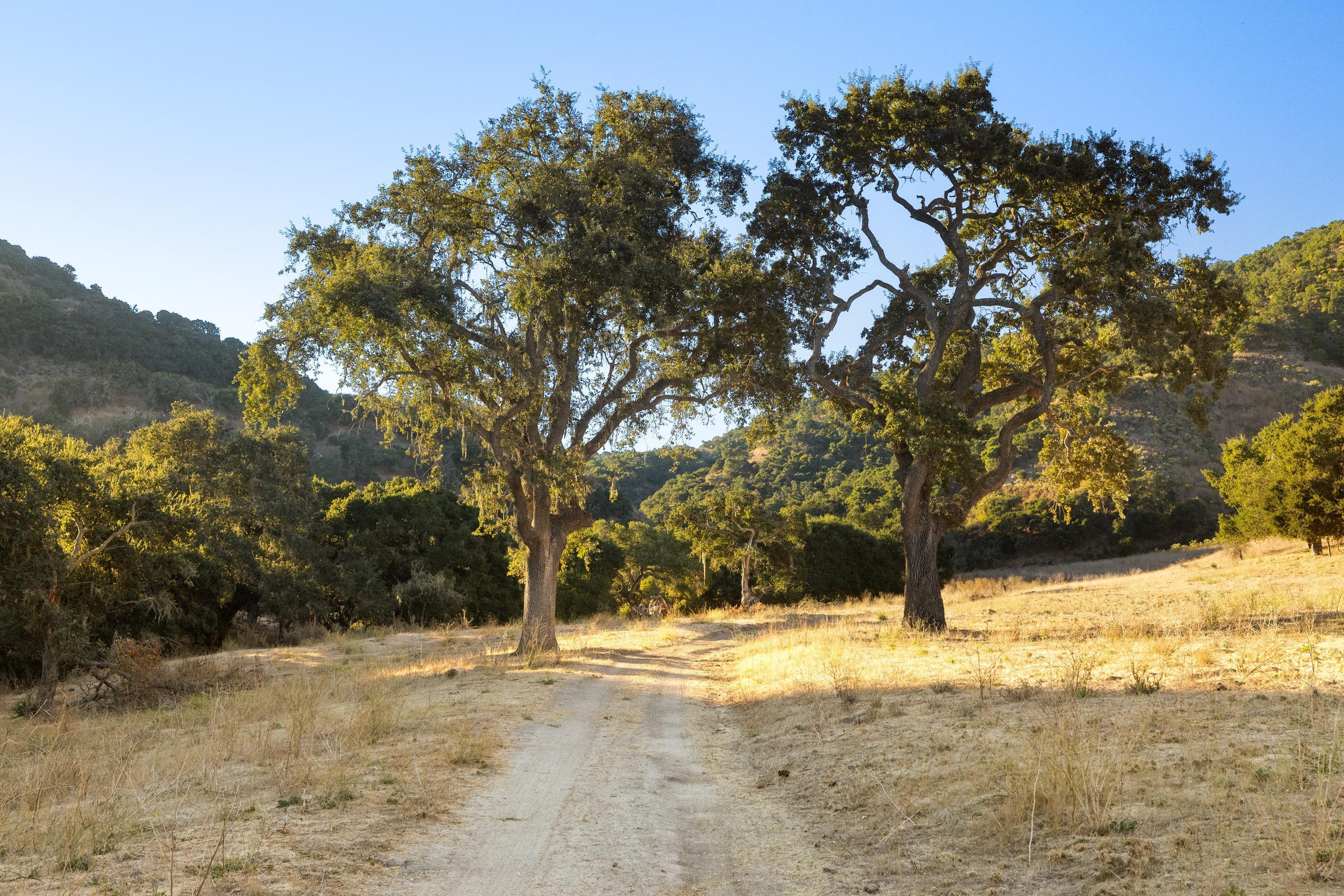 Los Alamos, California 93440, United States, ,Land,Active,41591