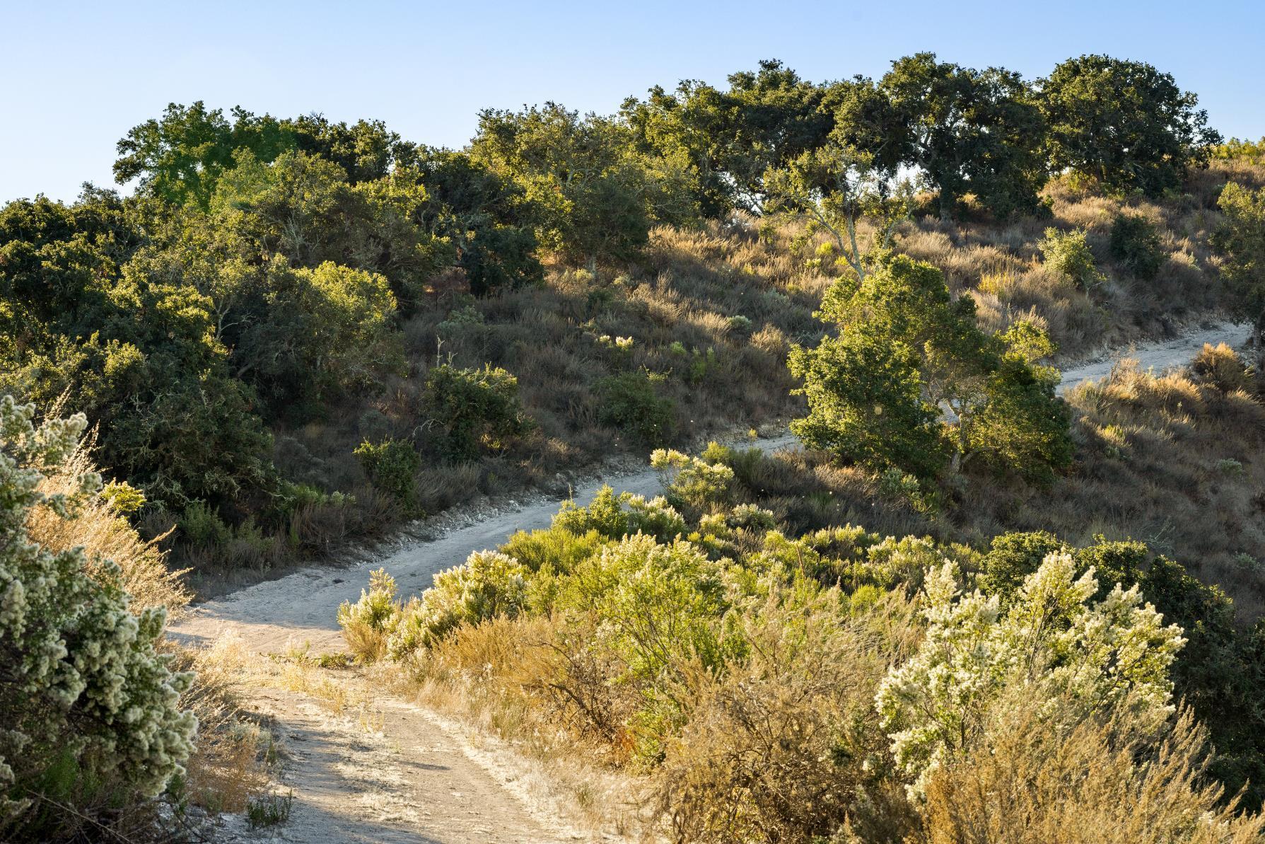 Los Alamos, California 93440, United States, ,Land,Active,41591