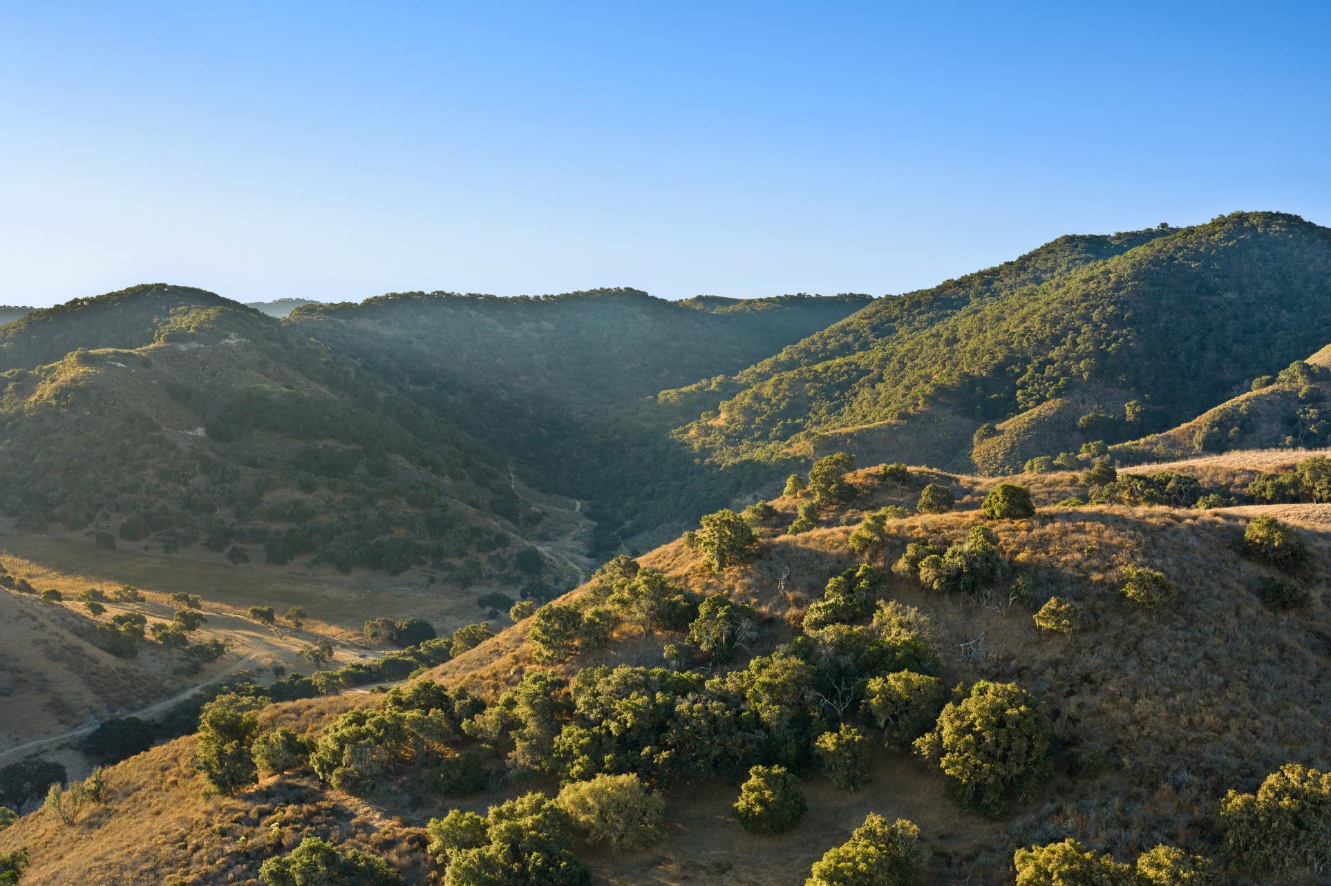 Los Alamos, California 93440, United States, ,Land,Active,41591