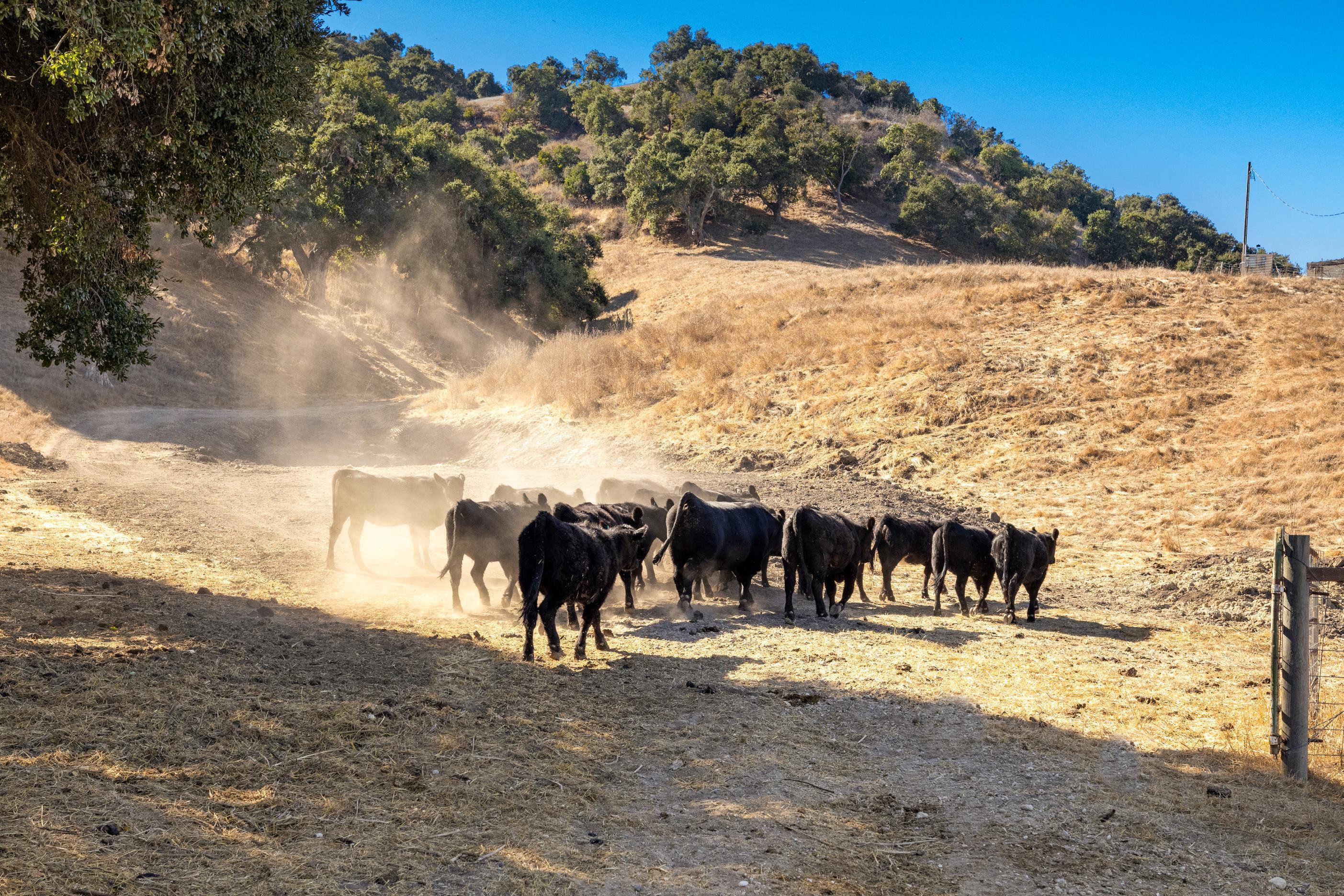 Los Alamos, California 93440, United States, ,Land,Active,41591
