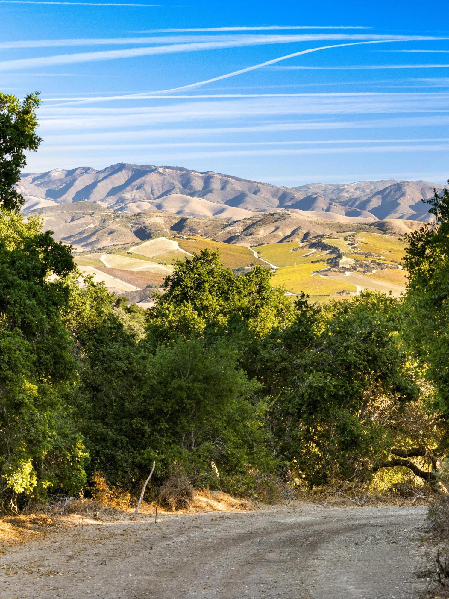 Los Alamos, California 93440, United States, ,Land,Active,41591