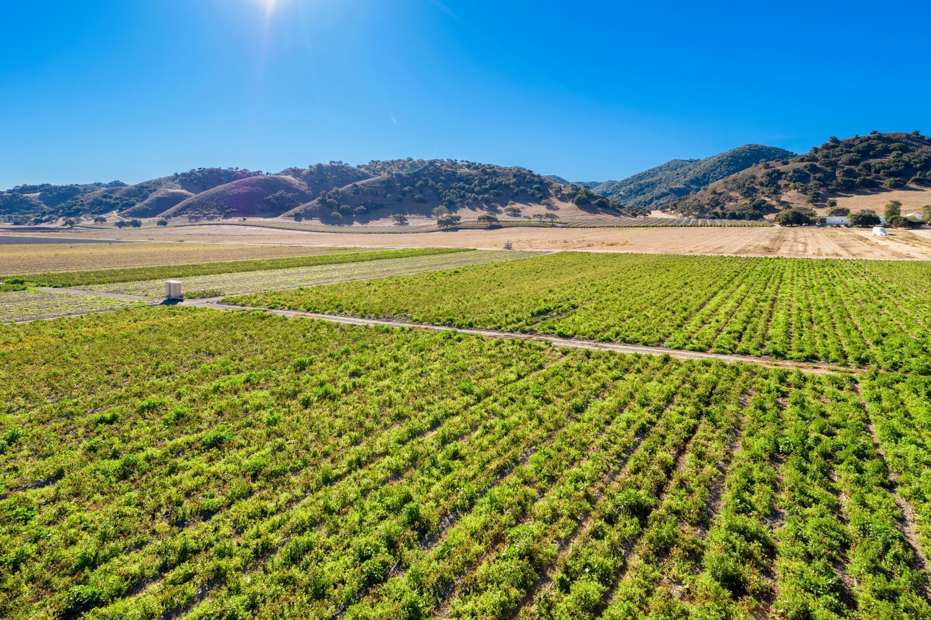 Los Alamos, California 93440, United States, ,Land,Active,41591